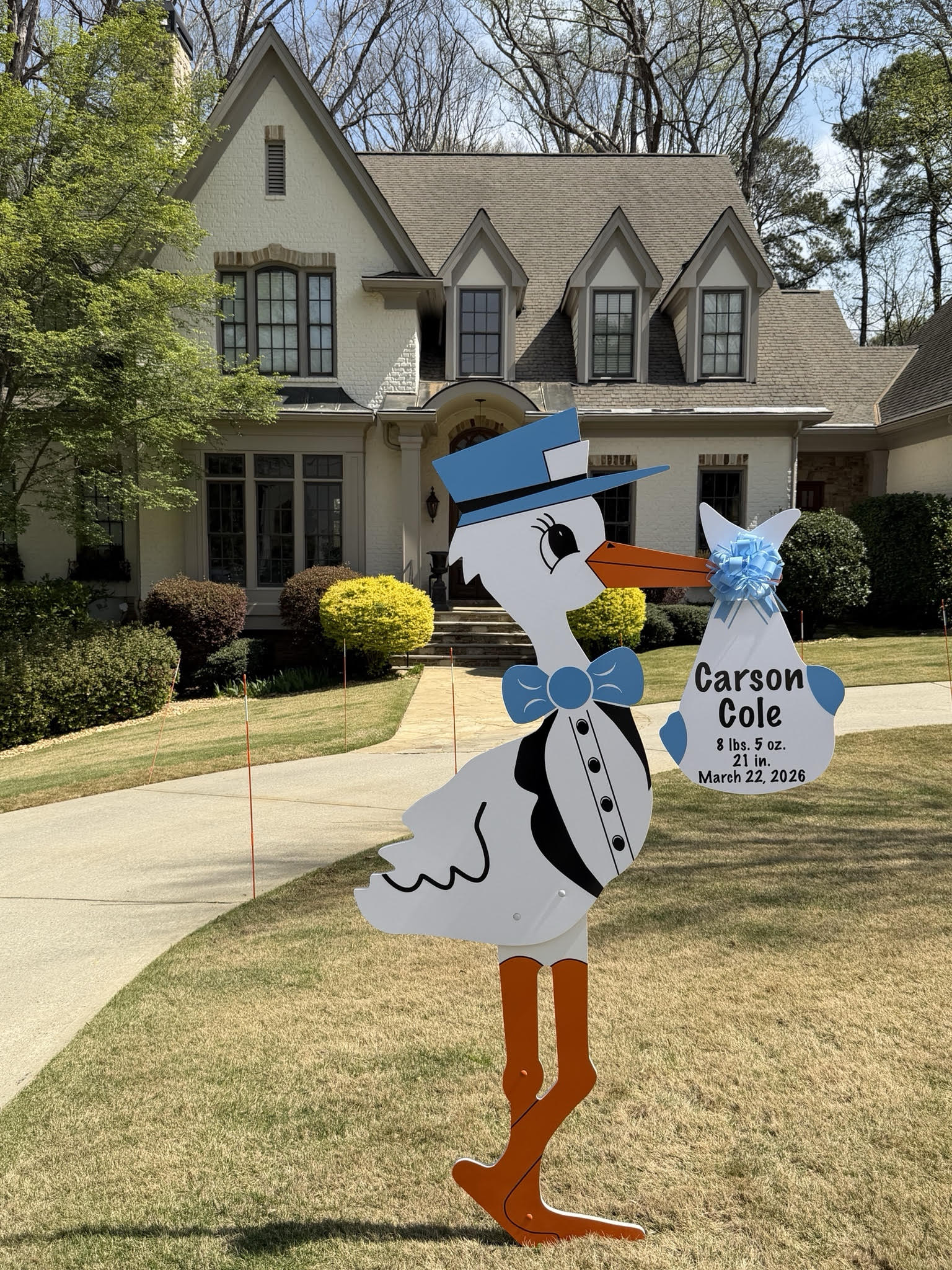 Birth Announcement Stork Sign in Brookhaven, GA