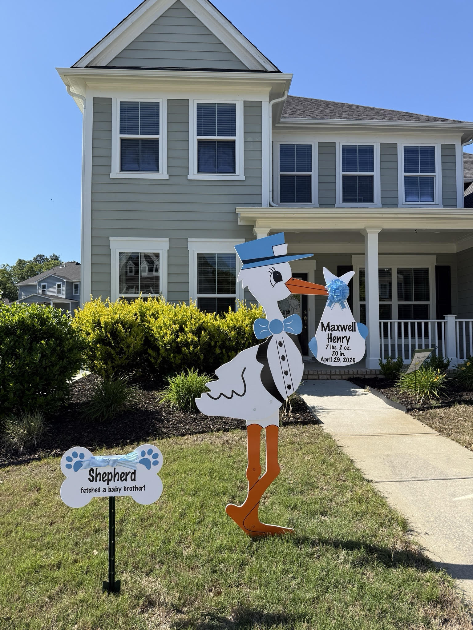 Birth Announcement Stork Sign in Hoschton, GA