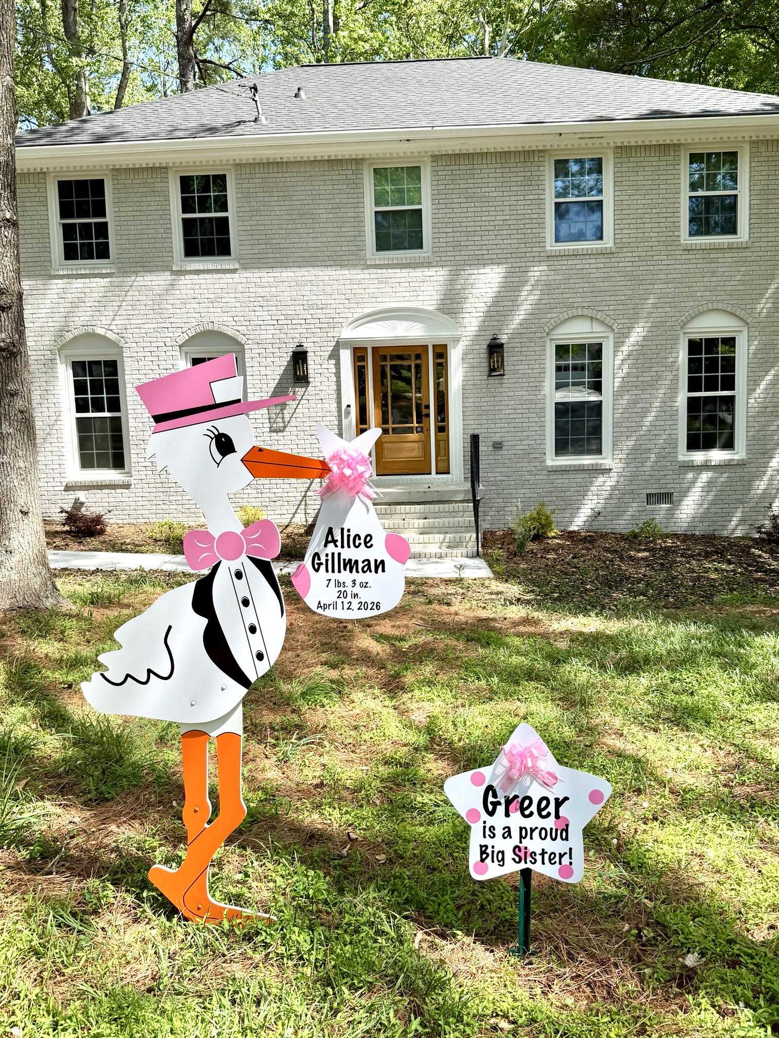 Birth Announcement Stork Sign in Dunwoody, GA