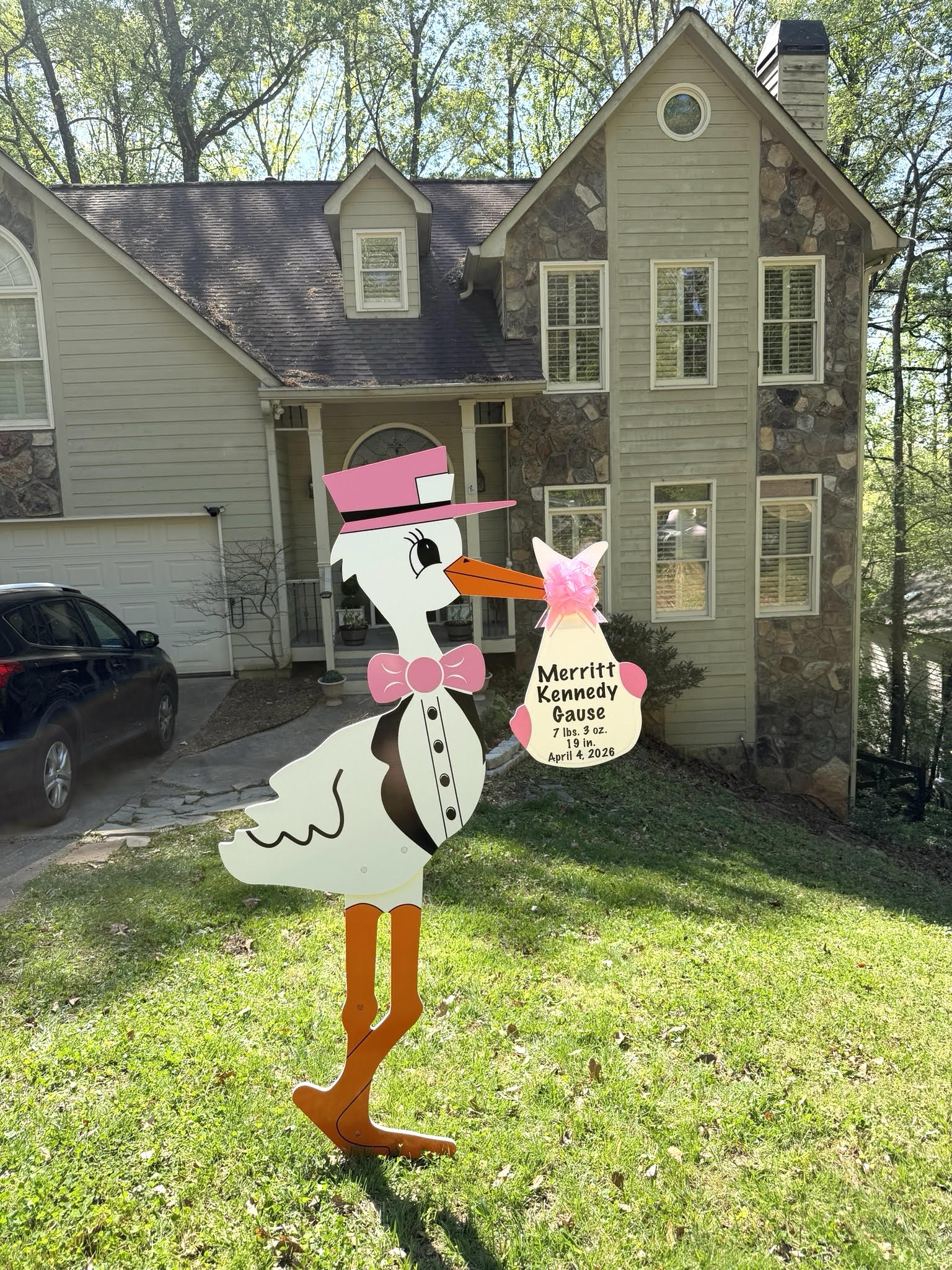 Birth Announcement Stork Sign in Roswell, GA