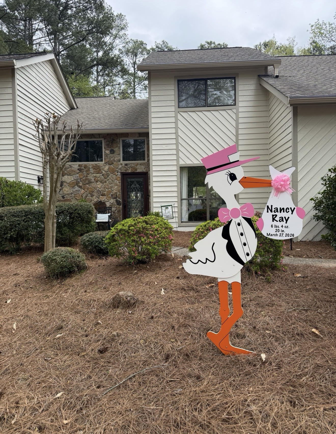 Birth Announcement Stork Sign in Roswell, GA