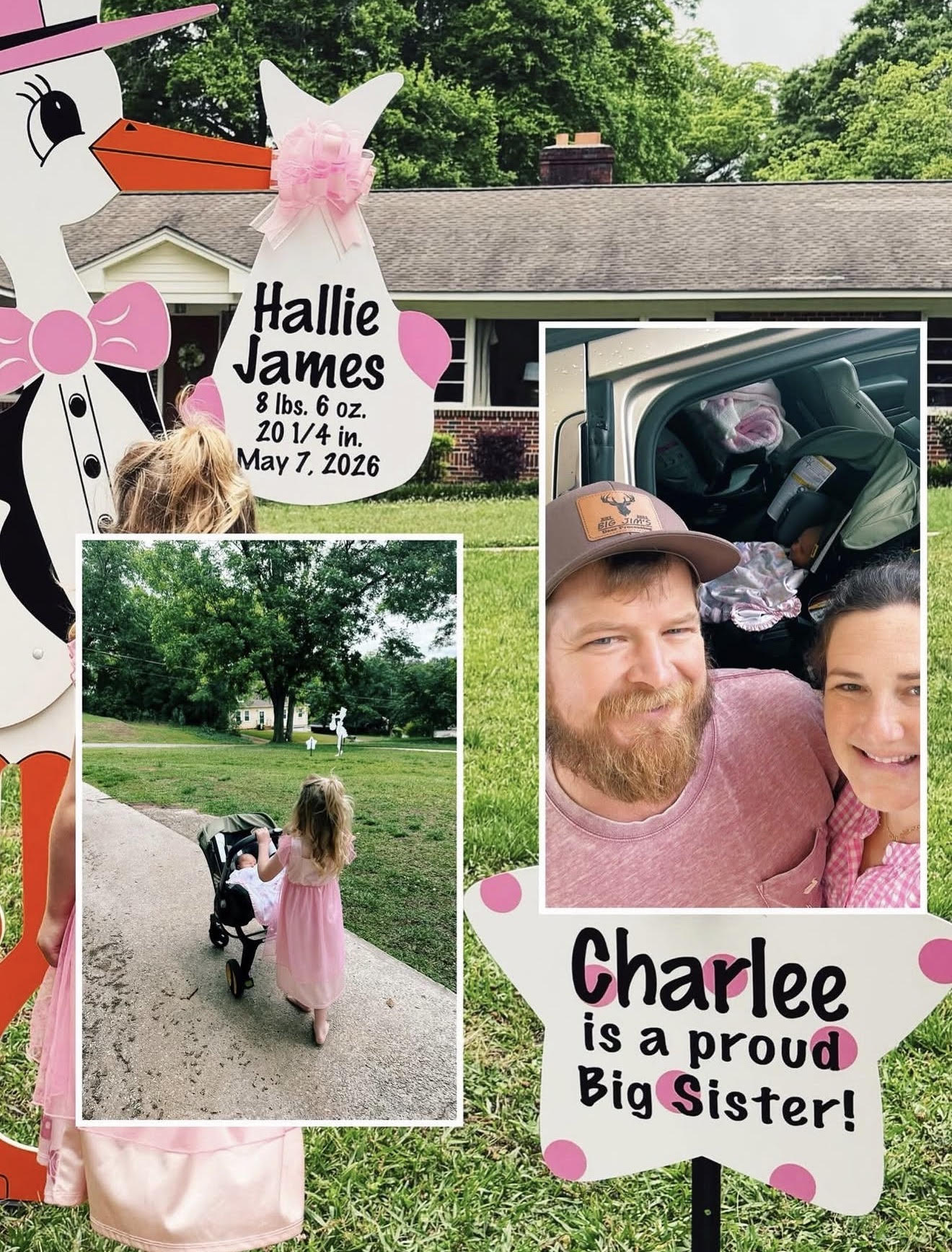 Birth Announcement Stork Sign in Eatonton, GA