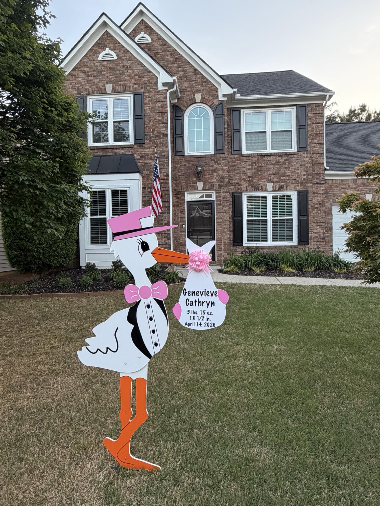 Birth Announcement Stork Sign in Roswell, GA