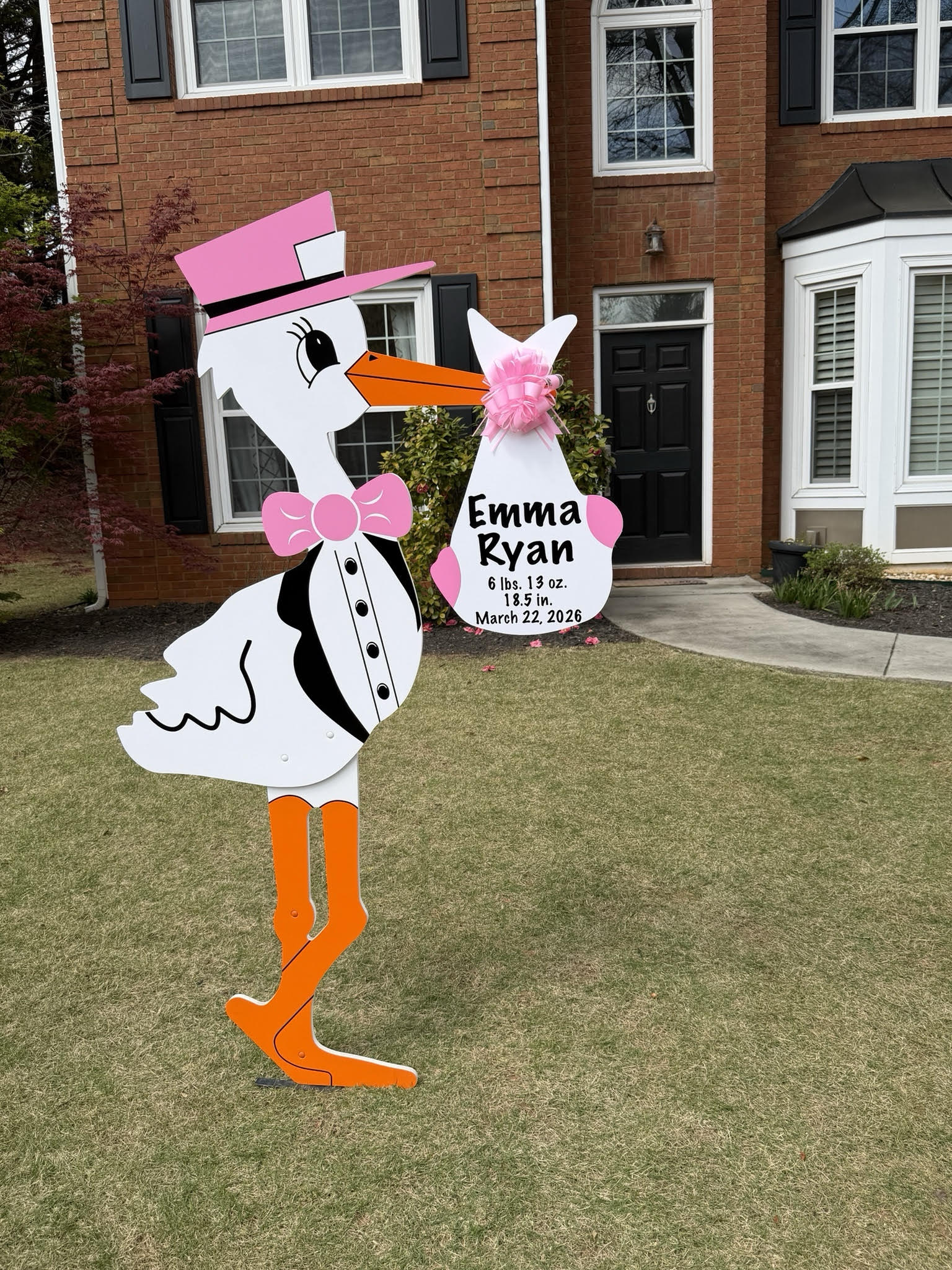 Birth Announcement Stork Sign in Roswell, GA