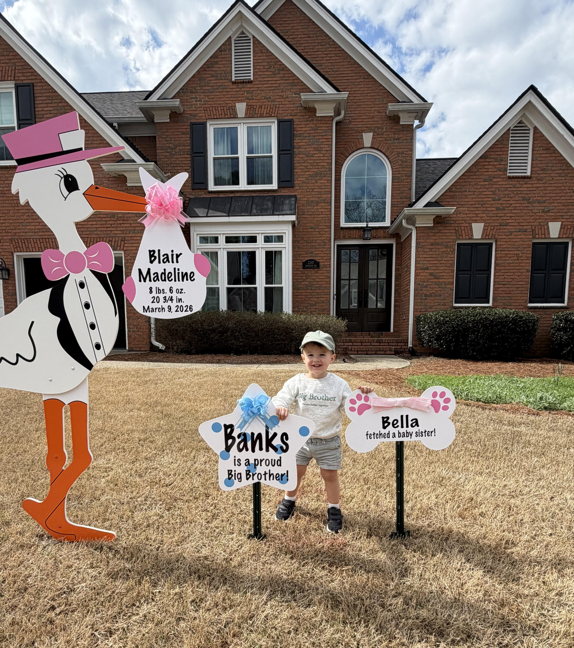 Birth Announcement Stork Sign in Atlanta, GA