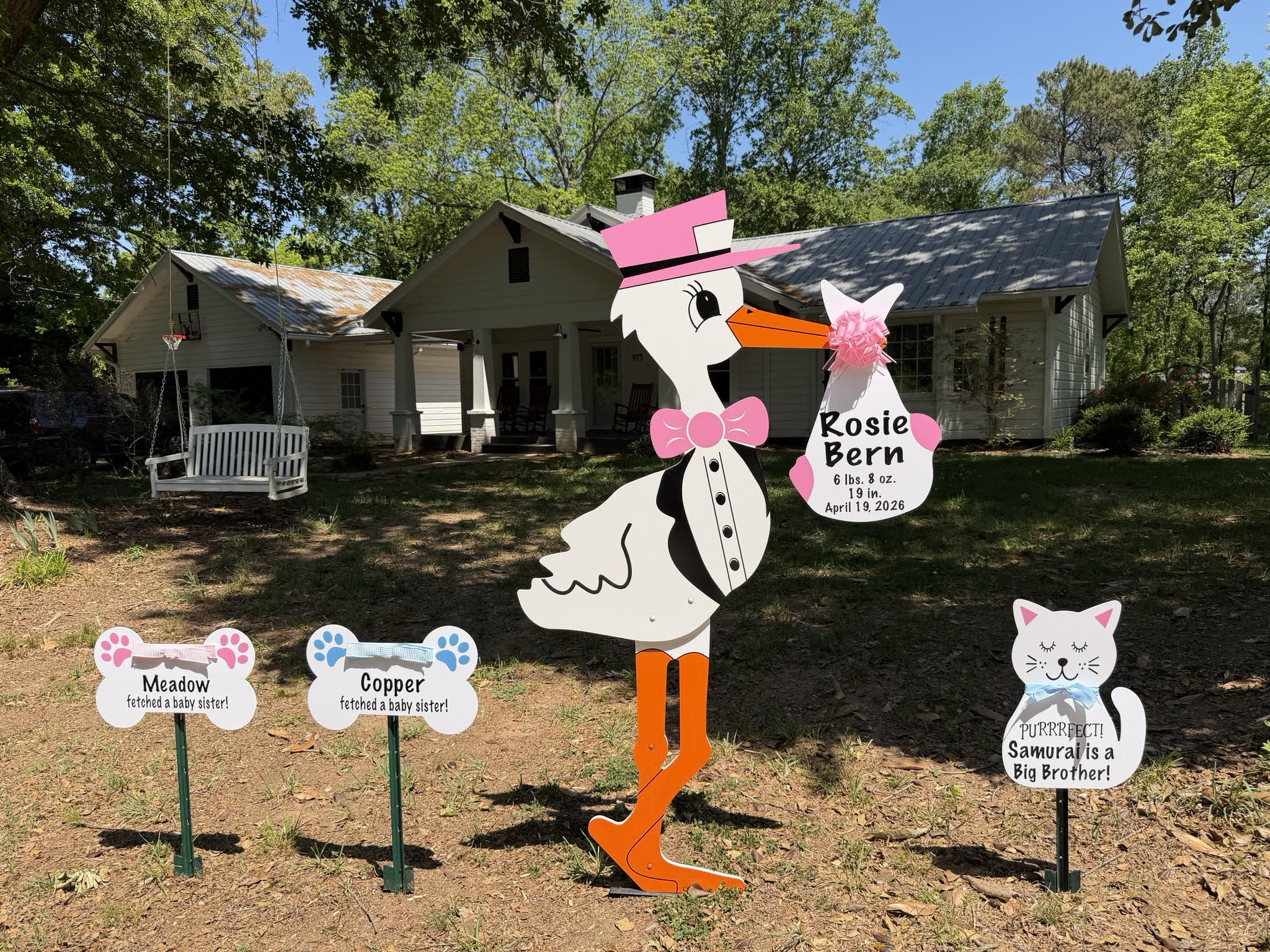 Birth Announcement Stork Sign in Woodstock, GA
