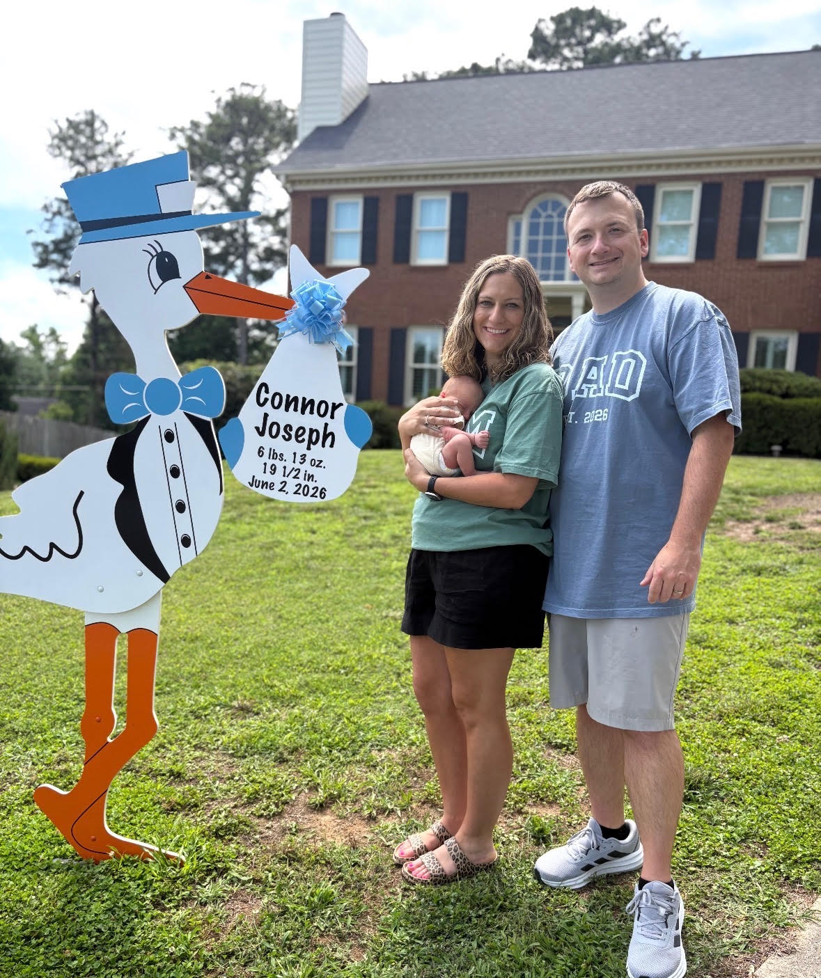 Birth Announcement Stork Sign in Marietta, GA