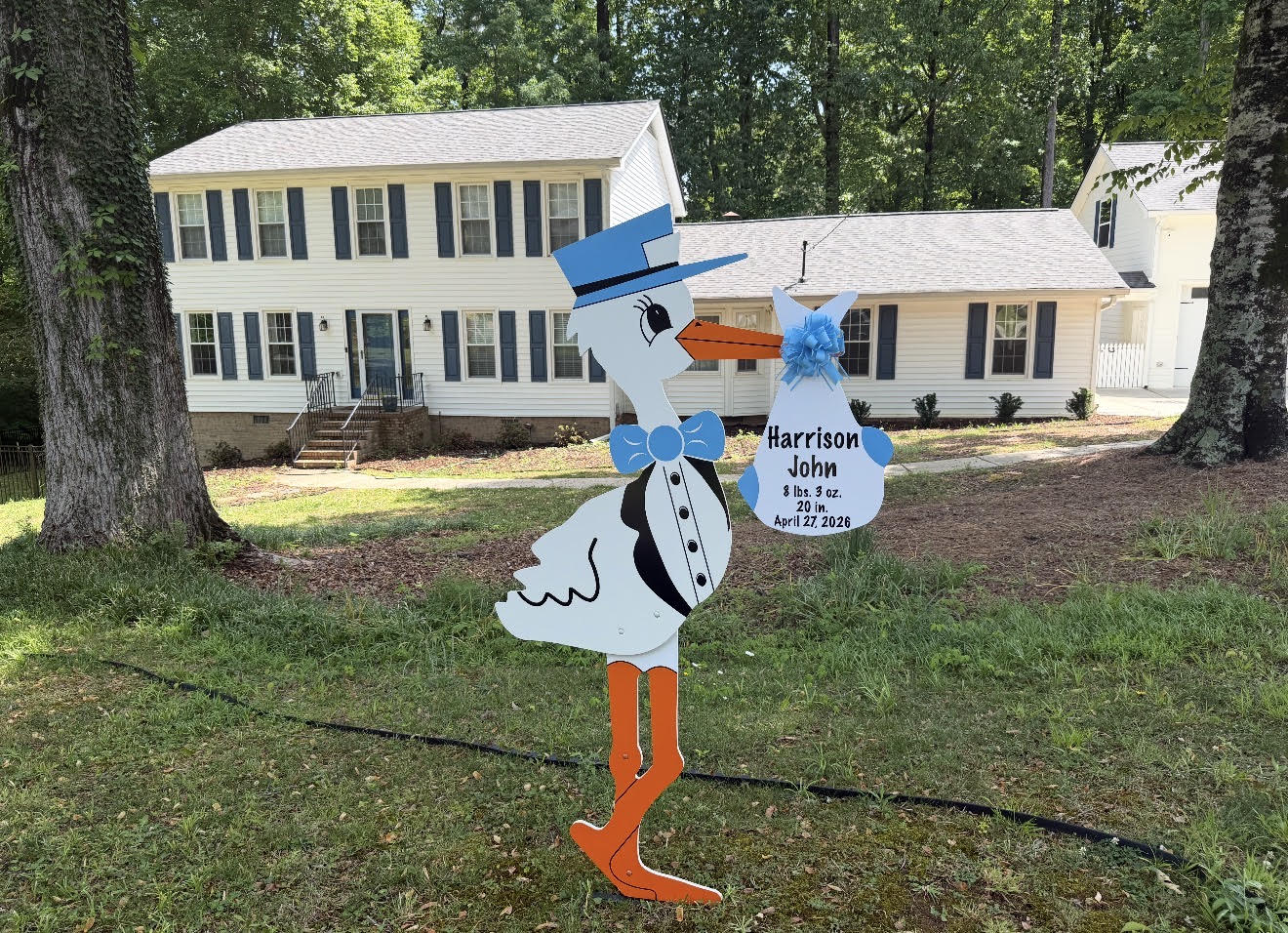Birth Announcement Stork Sign in Dunwoody, GA