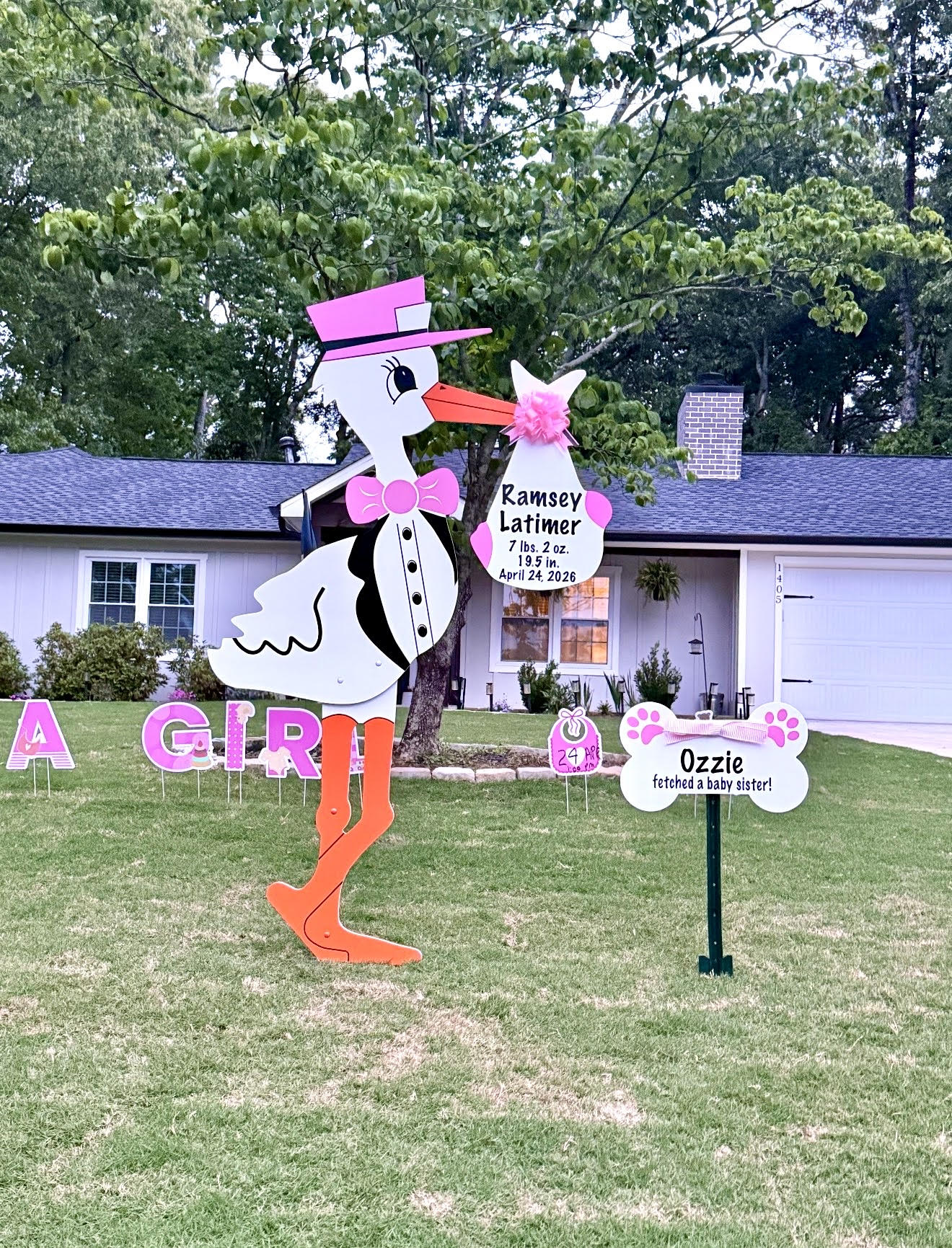 Birth Announcement Stork Sign in Holly Springs, GA