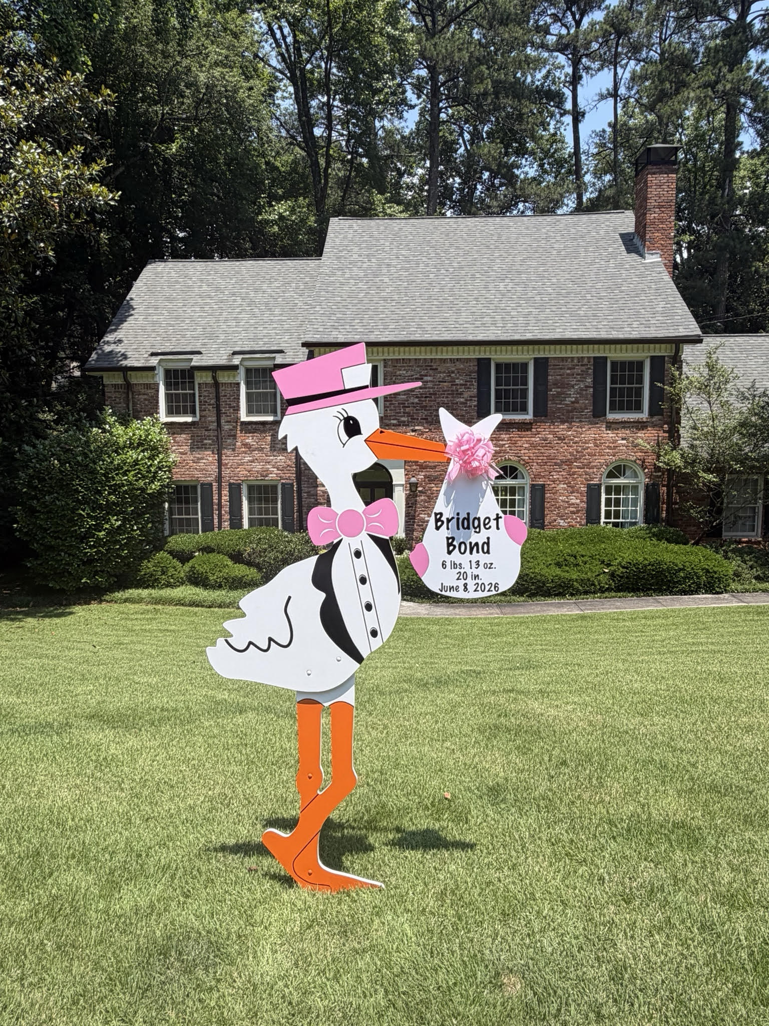 Birth Announcement Stork Sign in Sandy Springs, GA