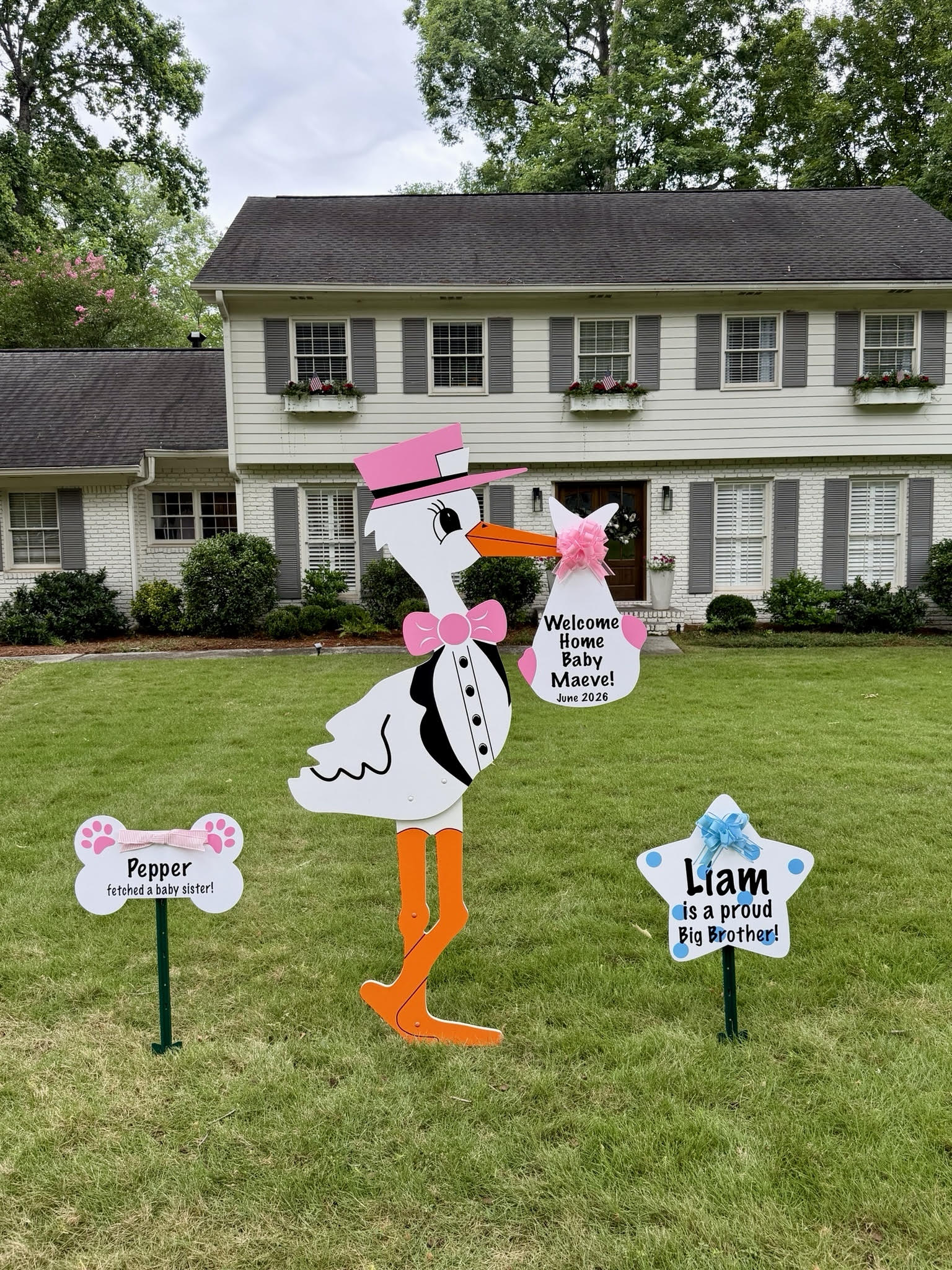 Birth Announcement Stork Sign in Dunwoody, GA