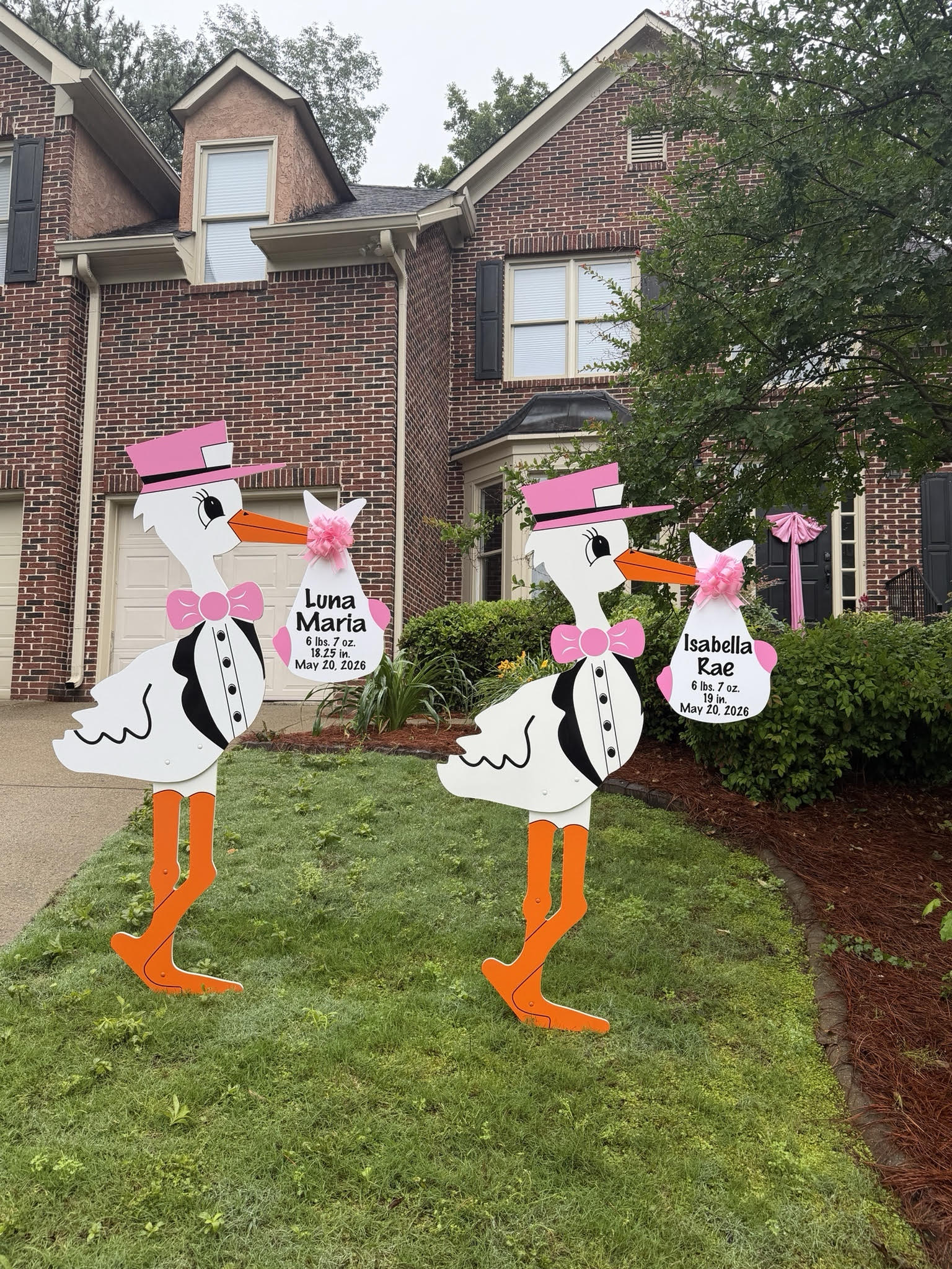 Birth Announcement Stork Sign in Woodstock, GA