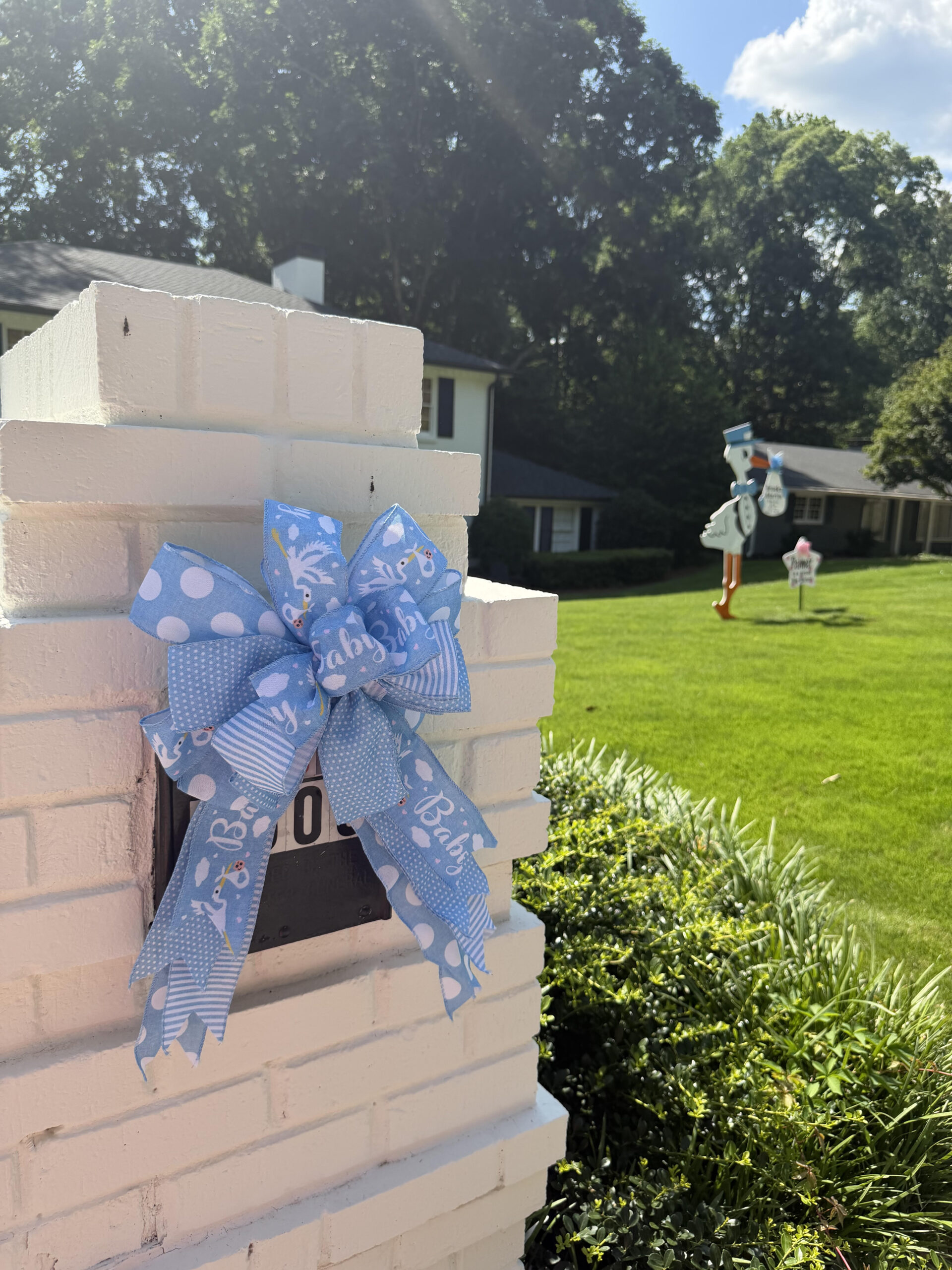 Birth Announcement Stork Sign in Sandy Springs, GA