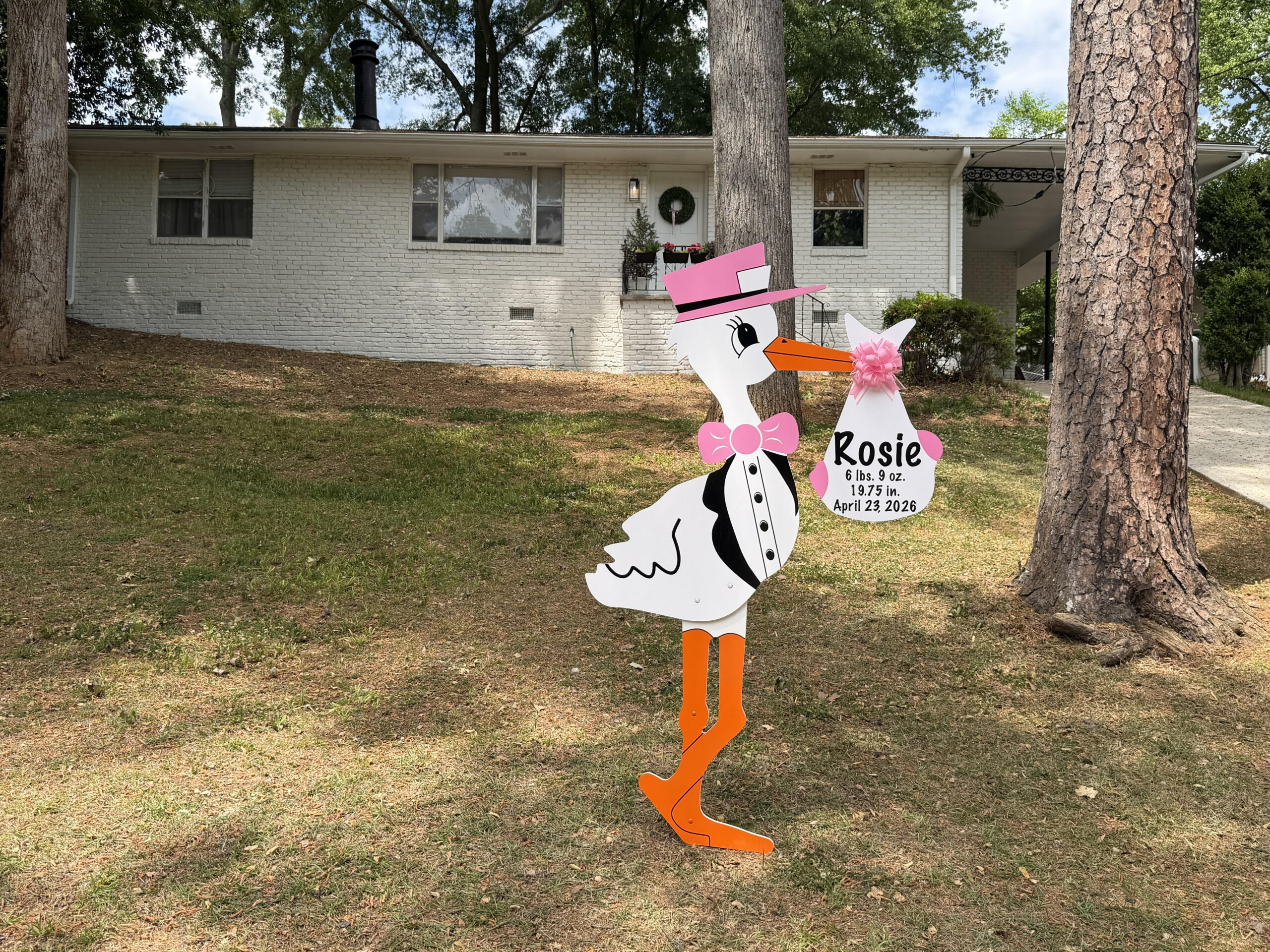 Birth Announcement Stork Sign in Sandy Springs, GA