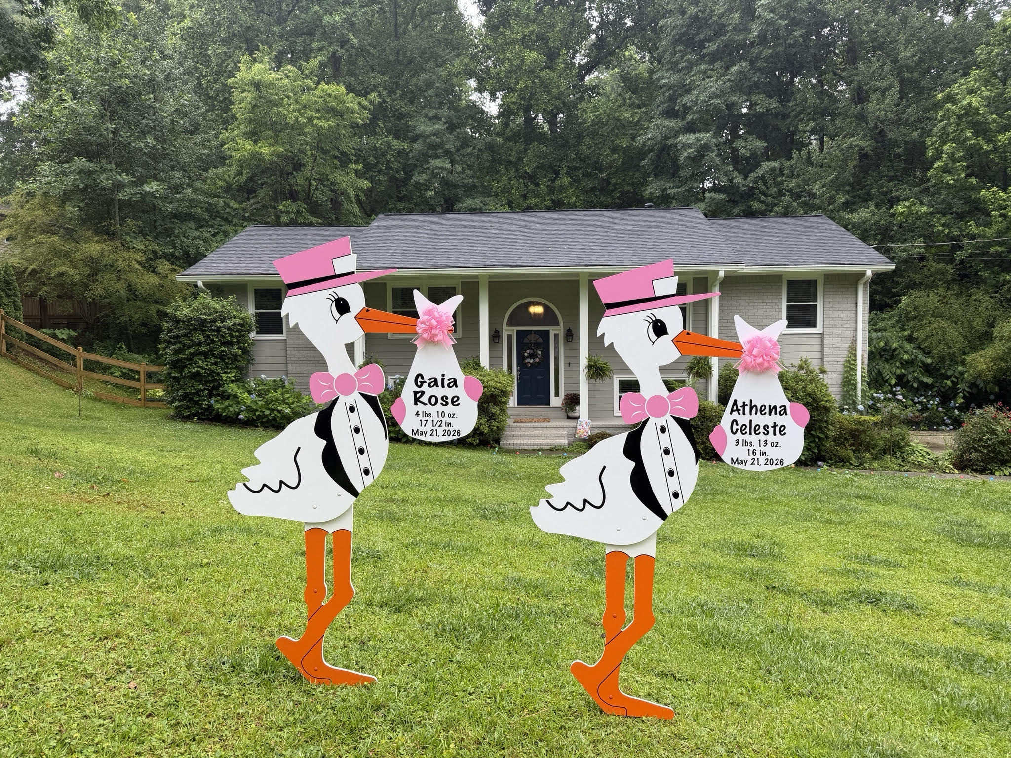 Birth Announcement Twin Storks in Marietta, GA