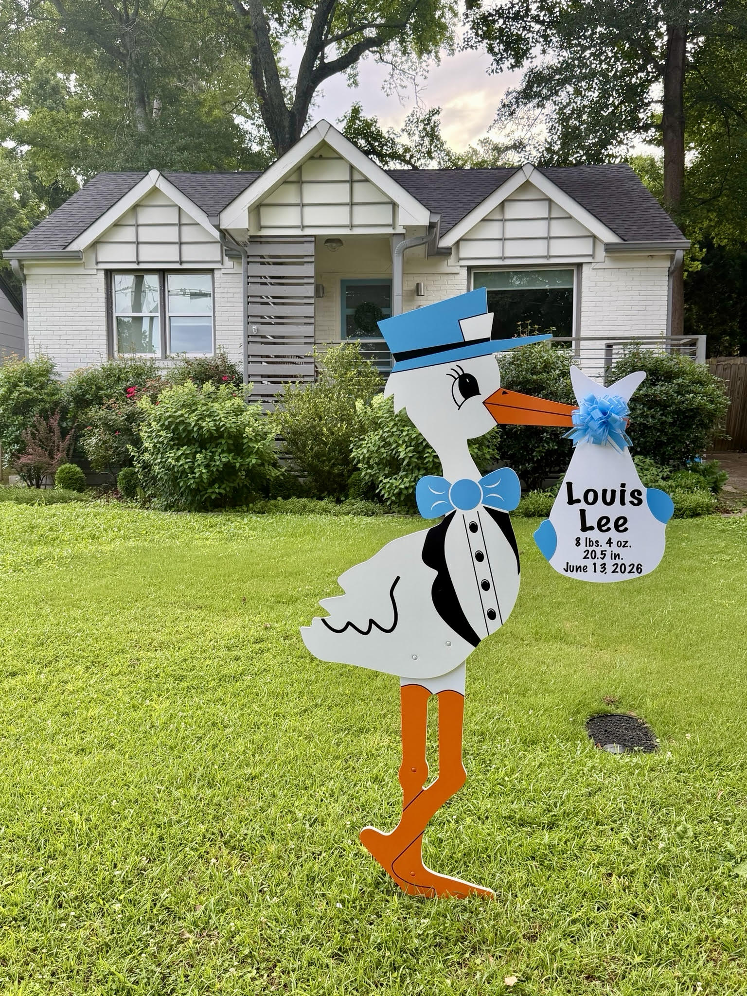 Birth Announcement Stork Sign in Decatur, GA