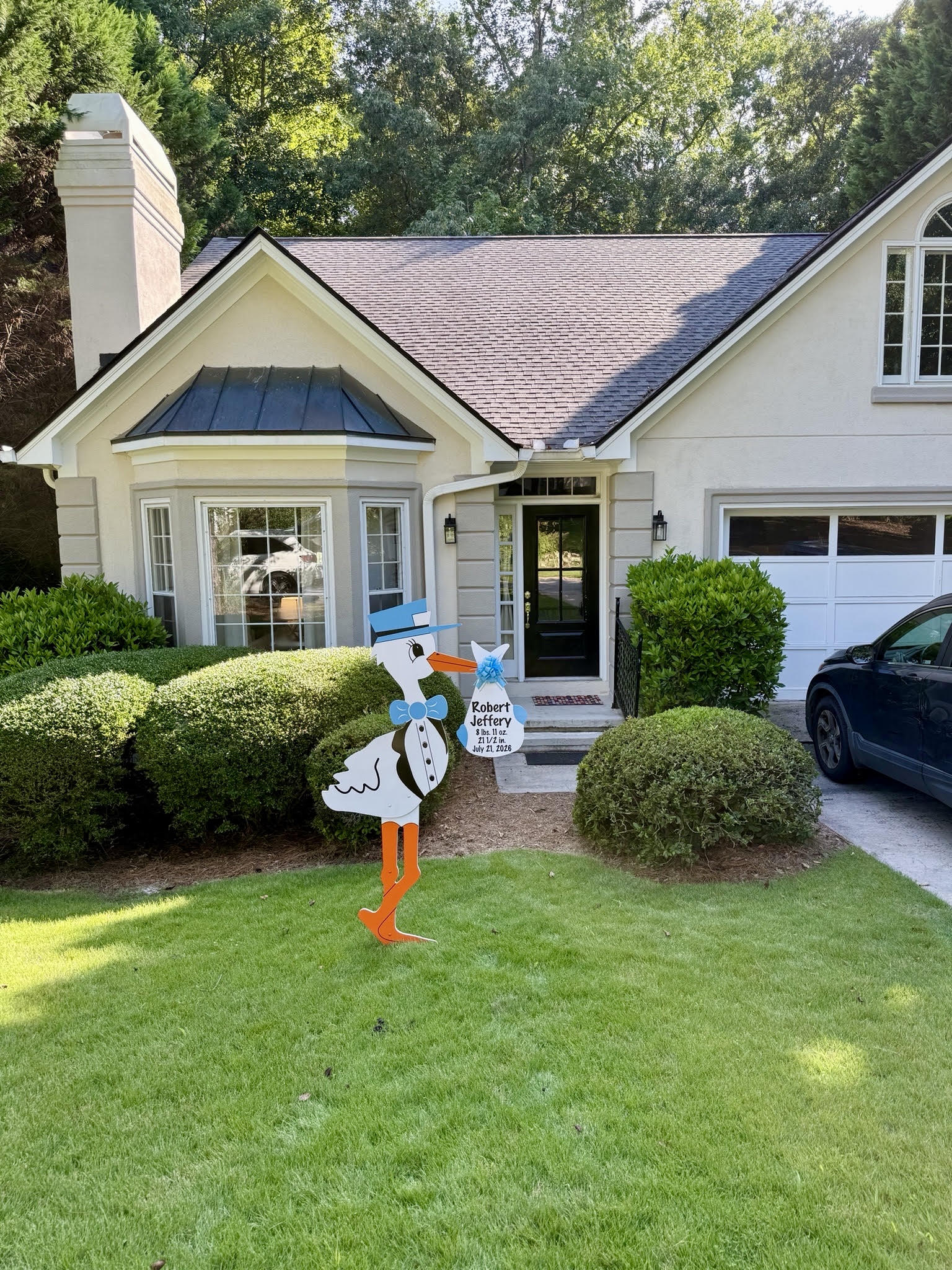 Birth Announcement Stork Sign in Athens, GA