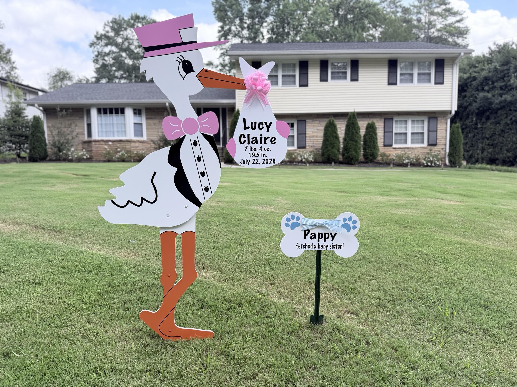 Birth Announcement Stork Sign in Dunwoody, GA