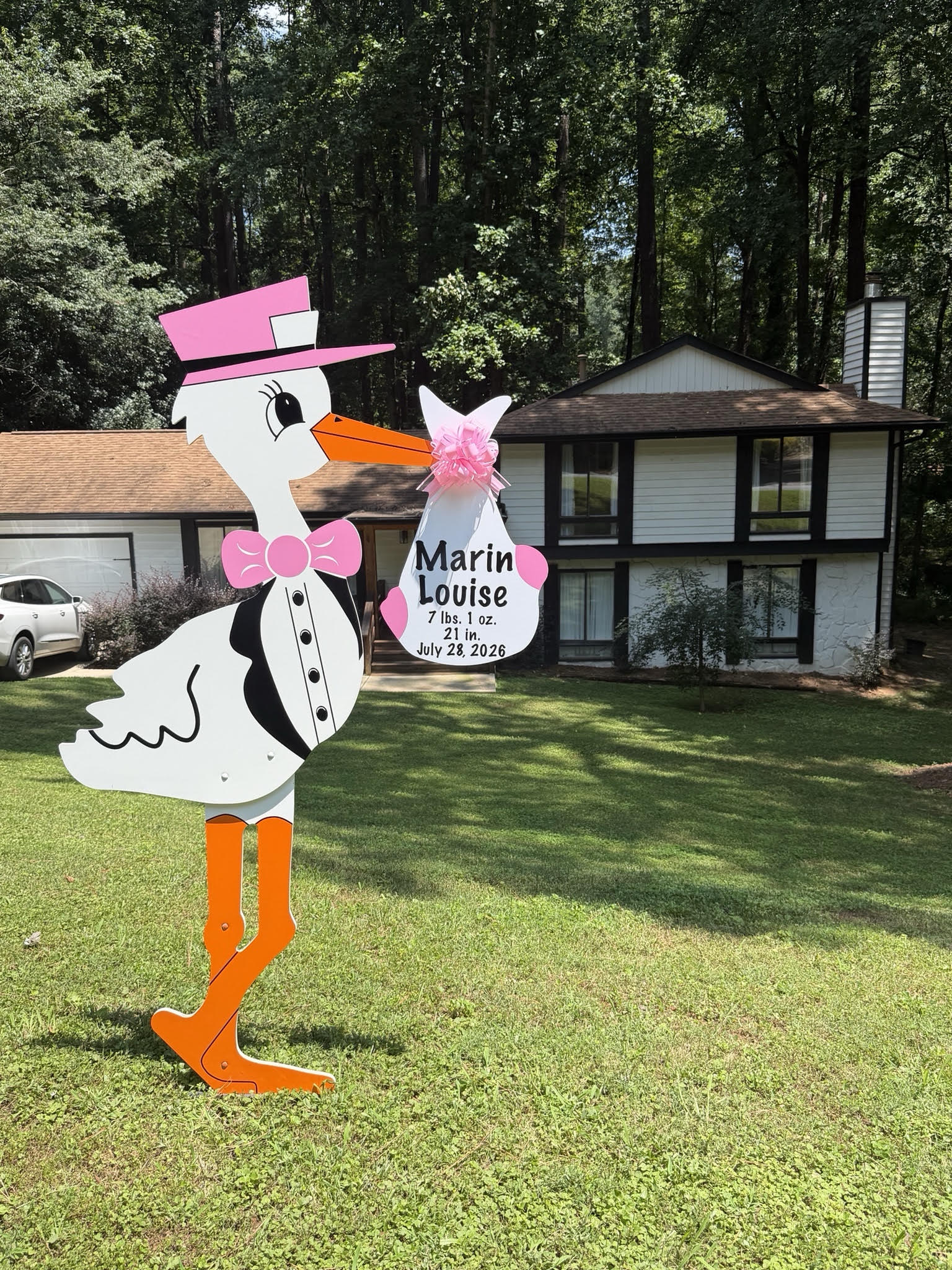 Birth Announcement Stork Sign in Roswell, GA