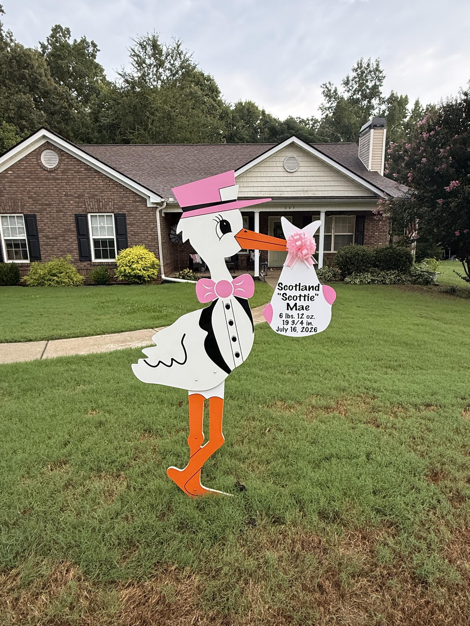 Birth Announcement Stork Sign in Nicholson, GA