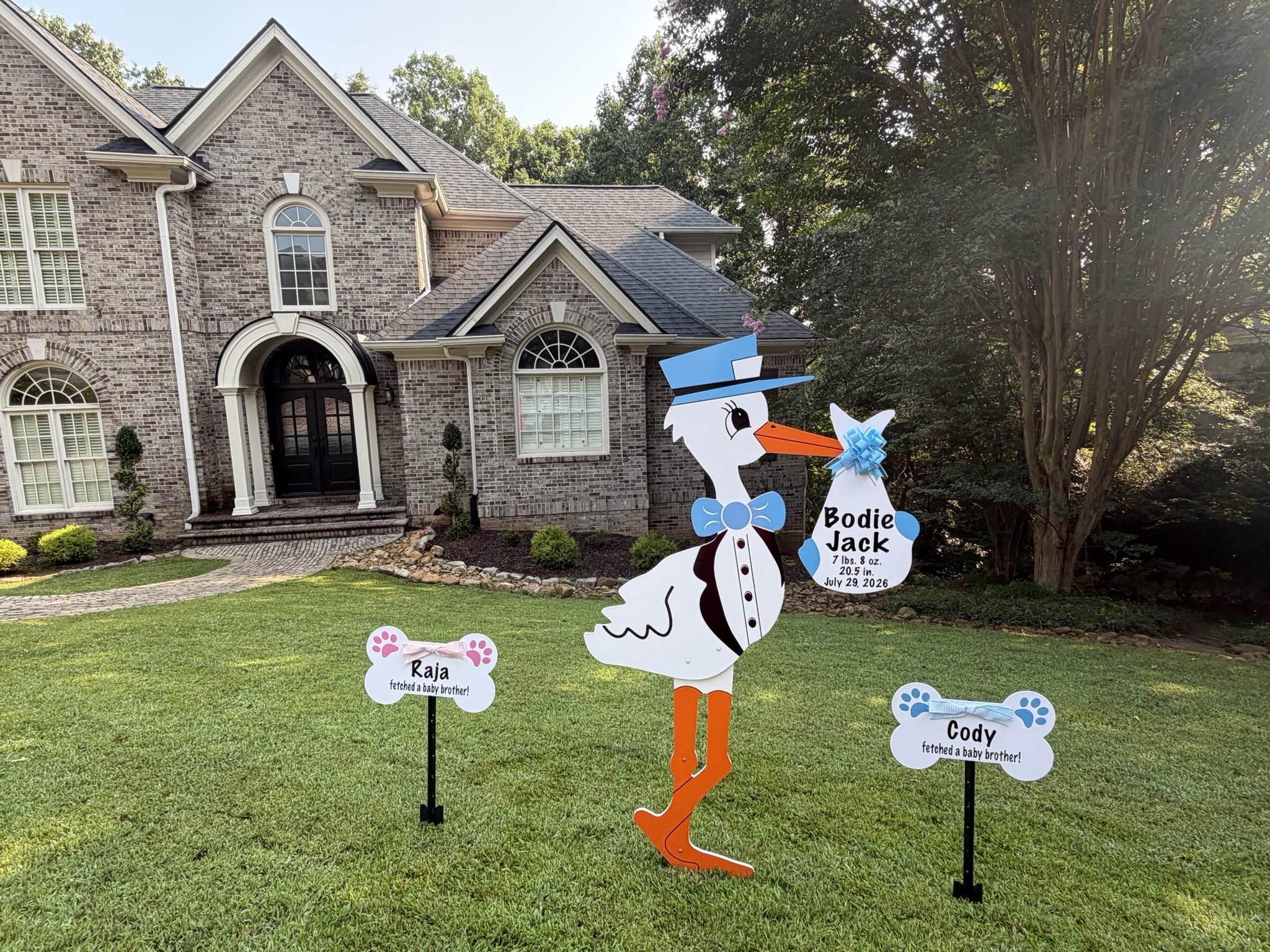 Birth Announcement Stork Sign in Roswell, GA