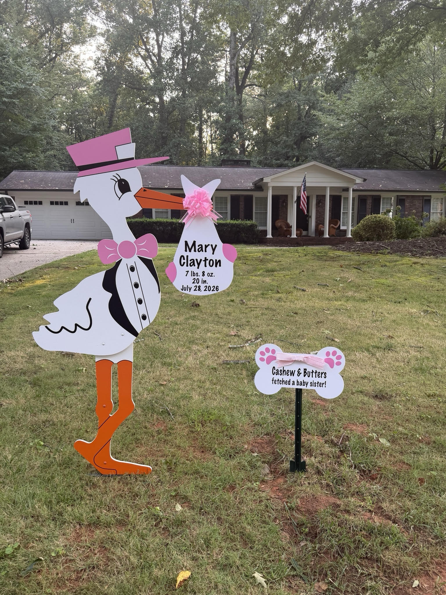 Birth Announcement Stork Sign in Sandy Springs, GA
