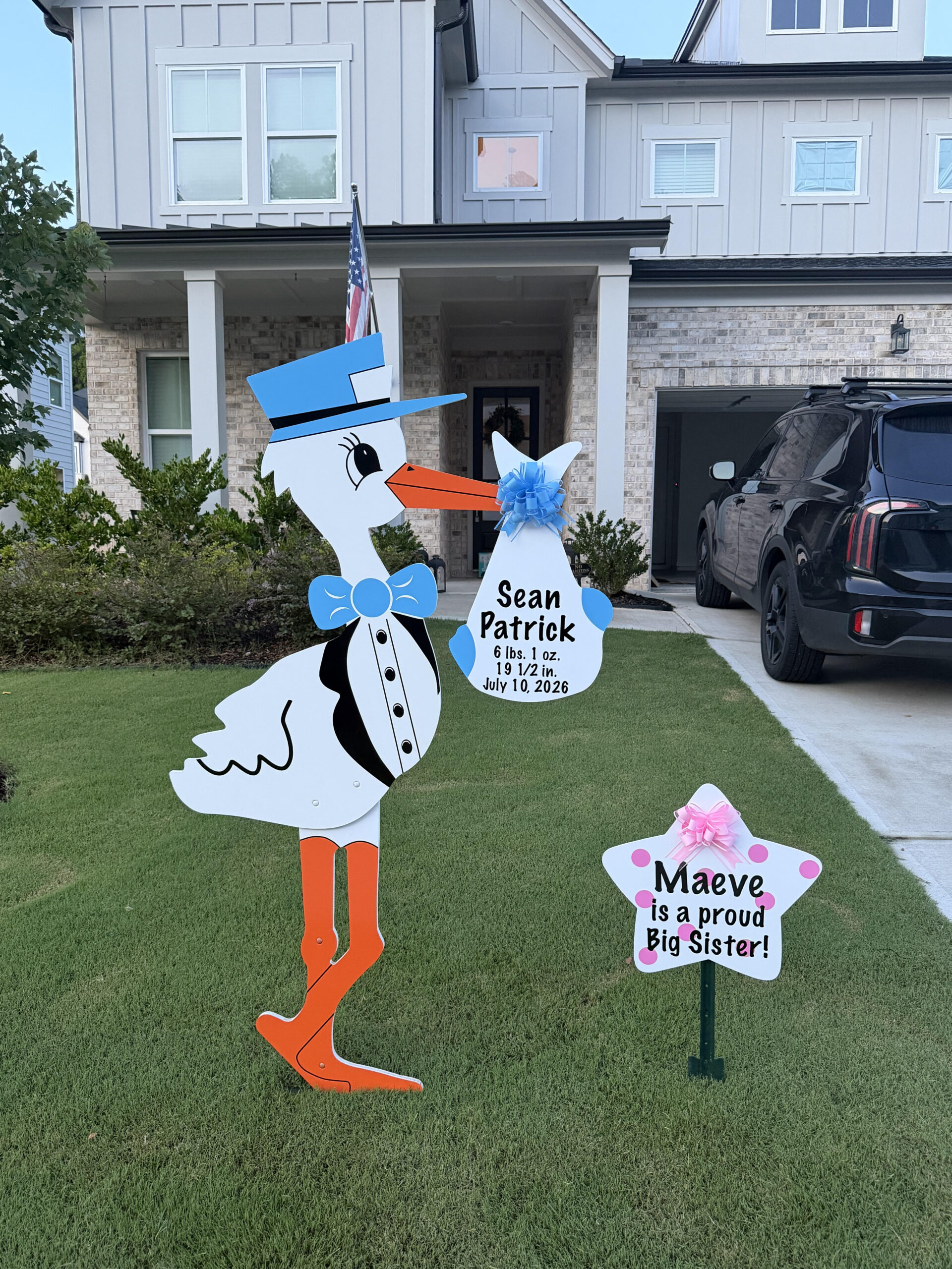 Birth Announcement Stork Sign in Woodstock, GA