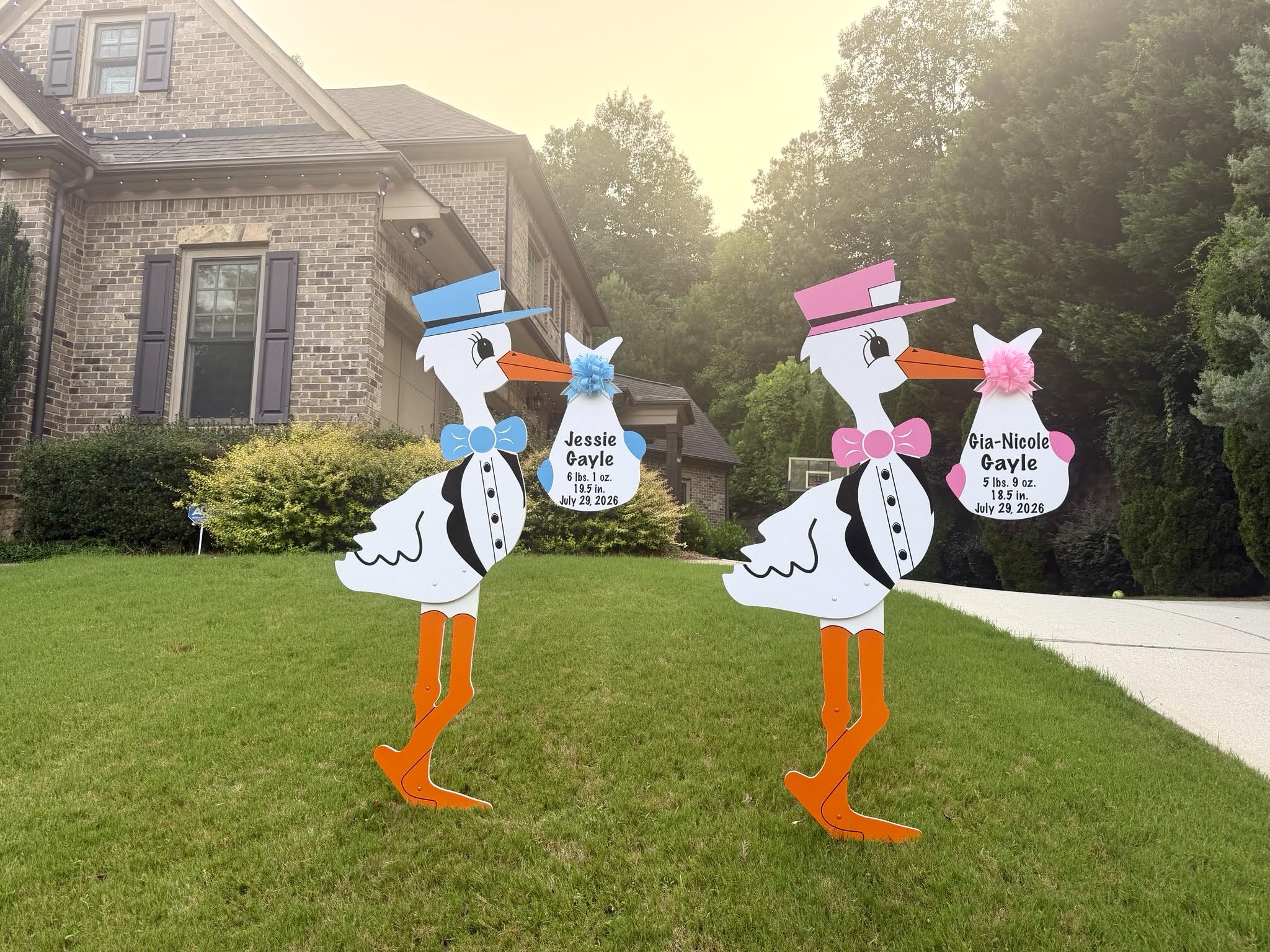 Twin Stork Birth Announcement in Mableton, GA