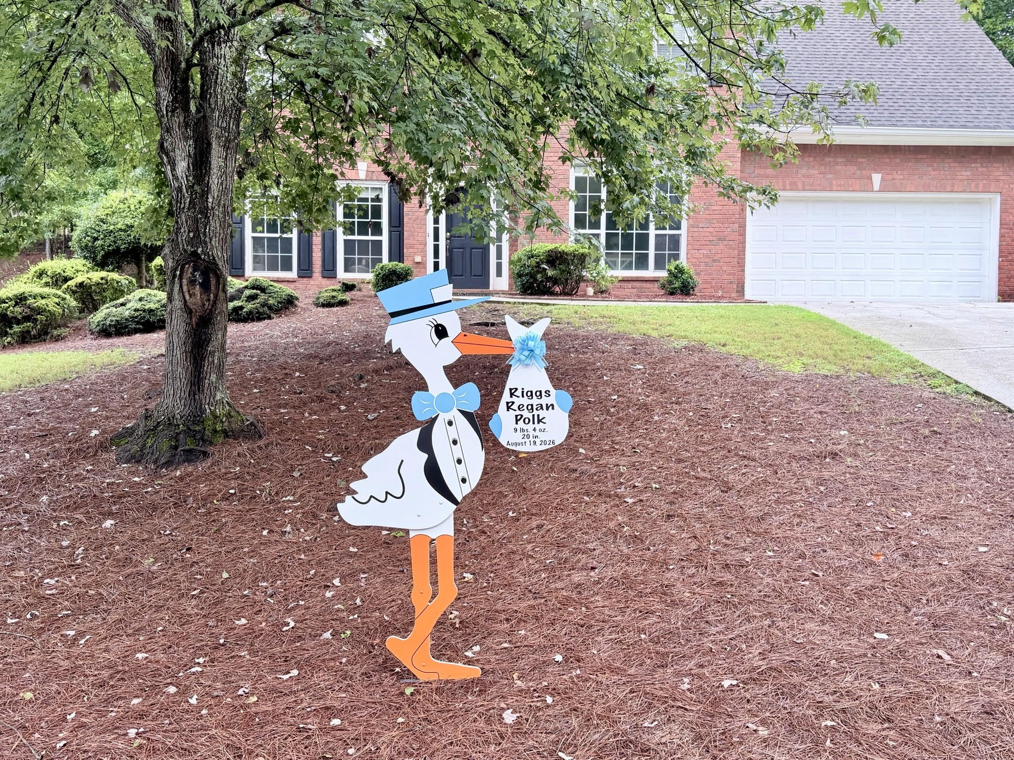 Birth Announcement Stork Sign in Alpharetta, GA