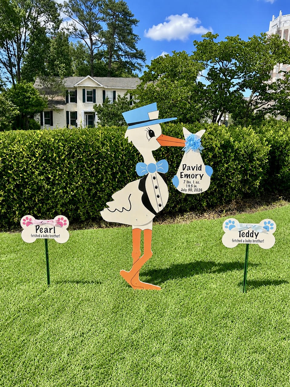 Birth Announcement Stork Sign in Buckhead, Atlanta