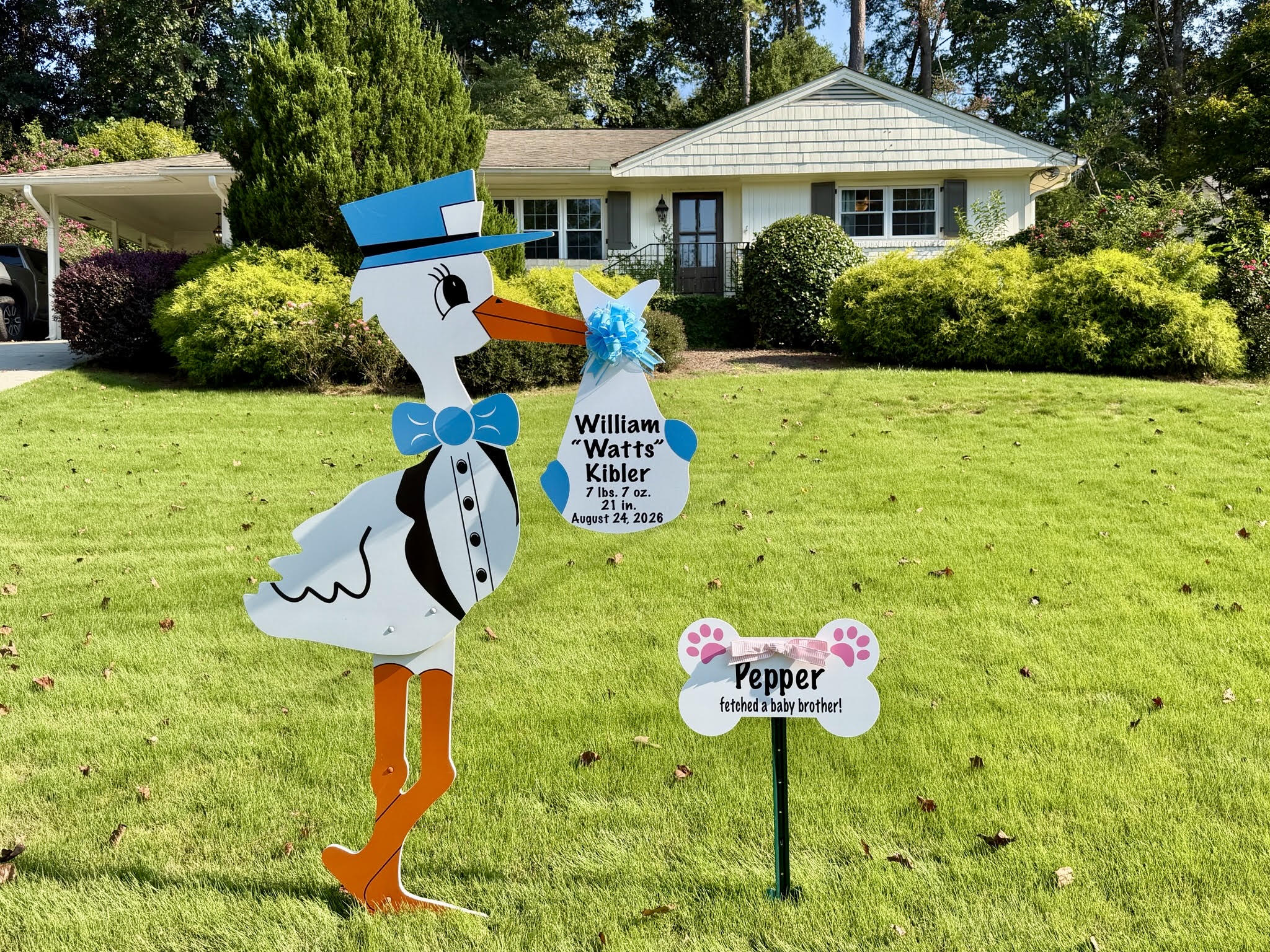 Birth Announcement Stork Sign in Sandy Springs, GA
