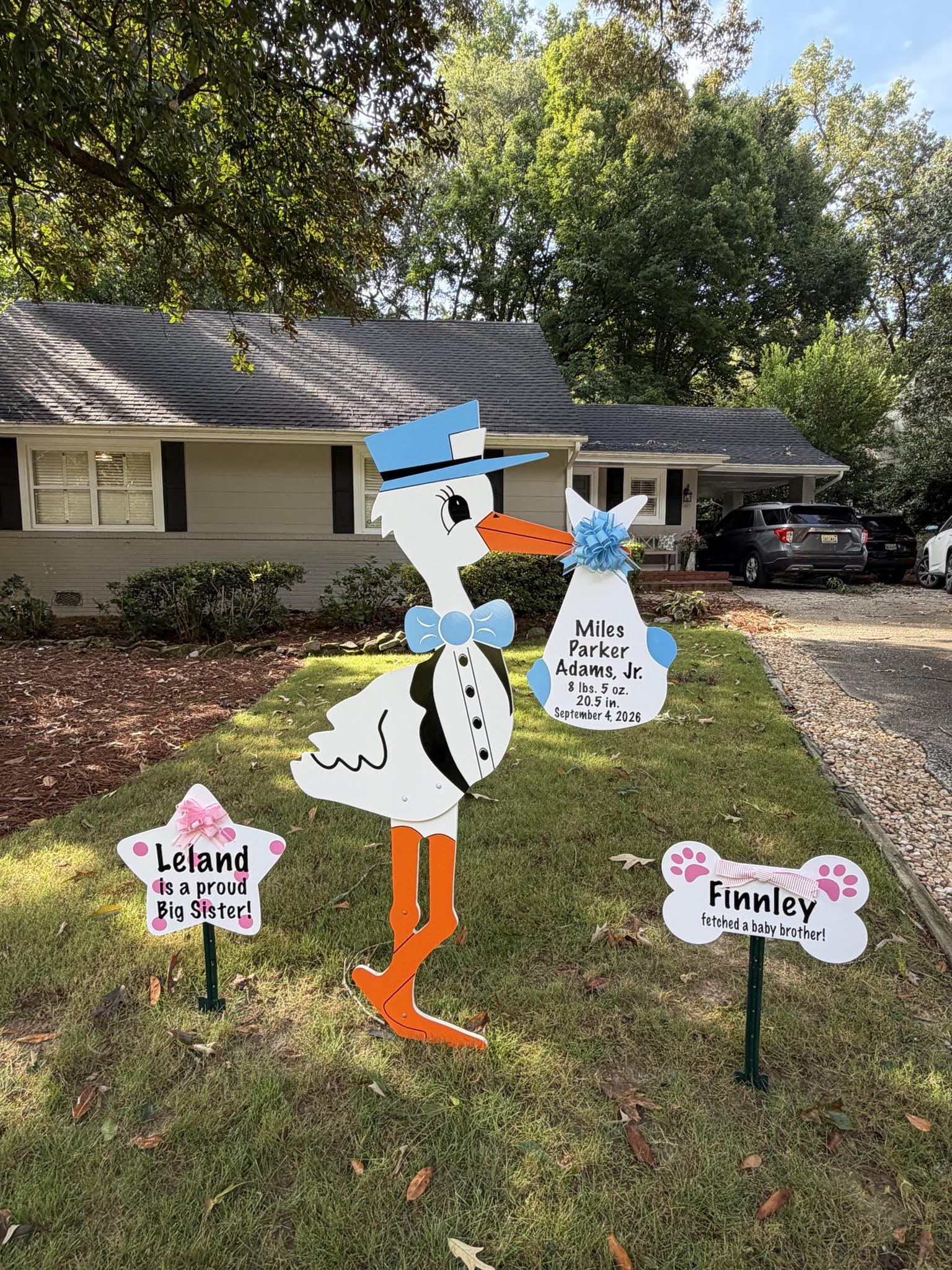 Birth Announcement Stork Sign in Midtown, Atlanta