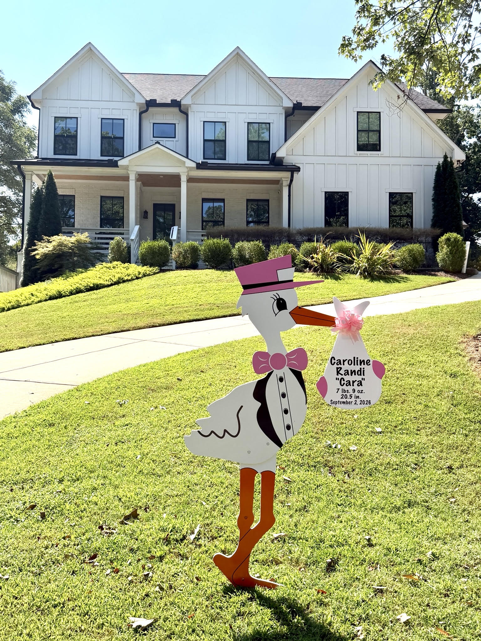 Birth Announcement Stork Sign in Brookhaven, GA