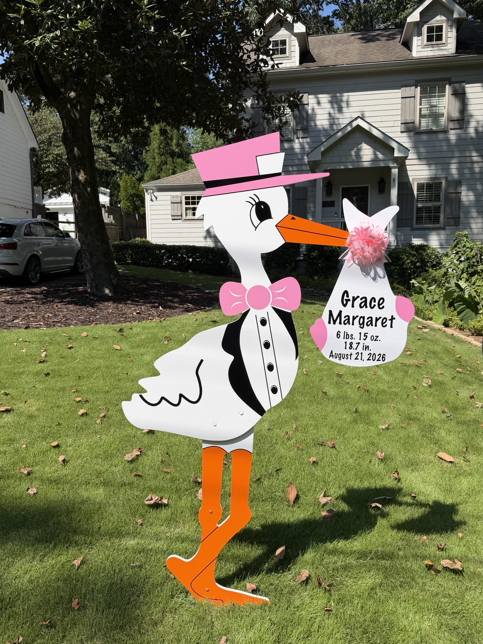 Birth Announcement Stork Sign in Chamblee, GA