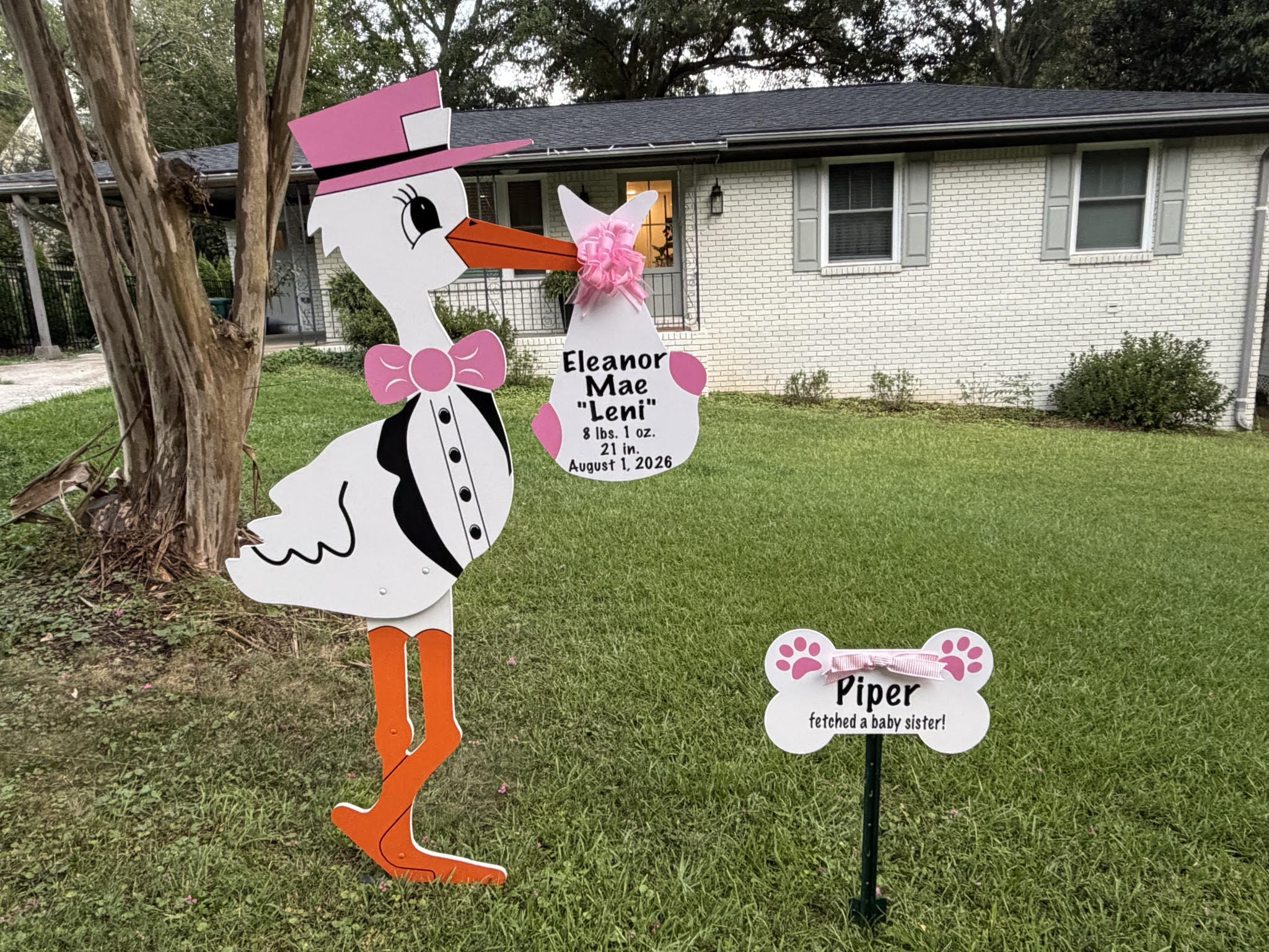 Birth Announcement Stork Sign in Smyrna, GA