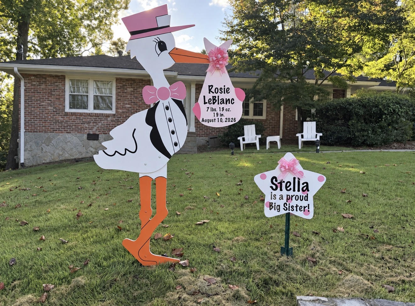 Birth Announcement Stork Sign in Sandy Springs, GA