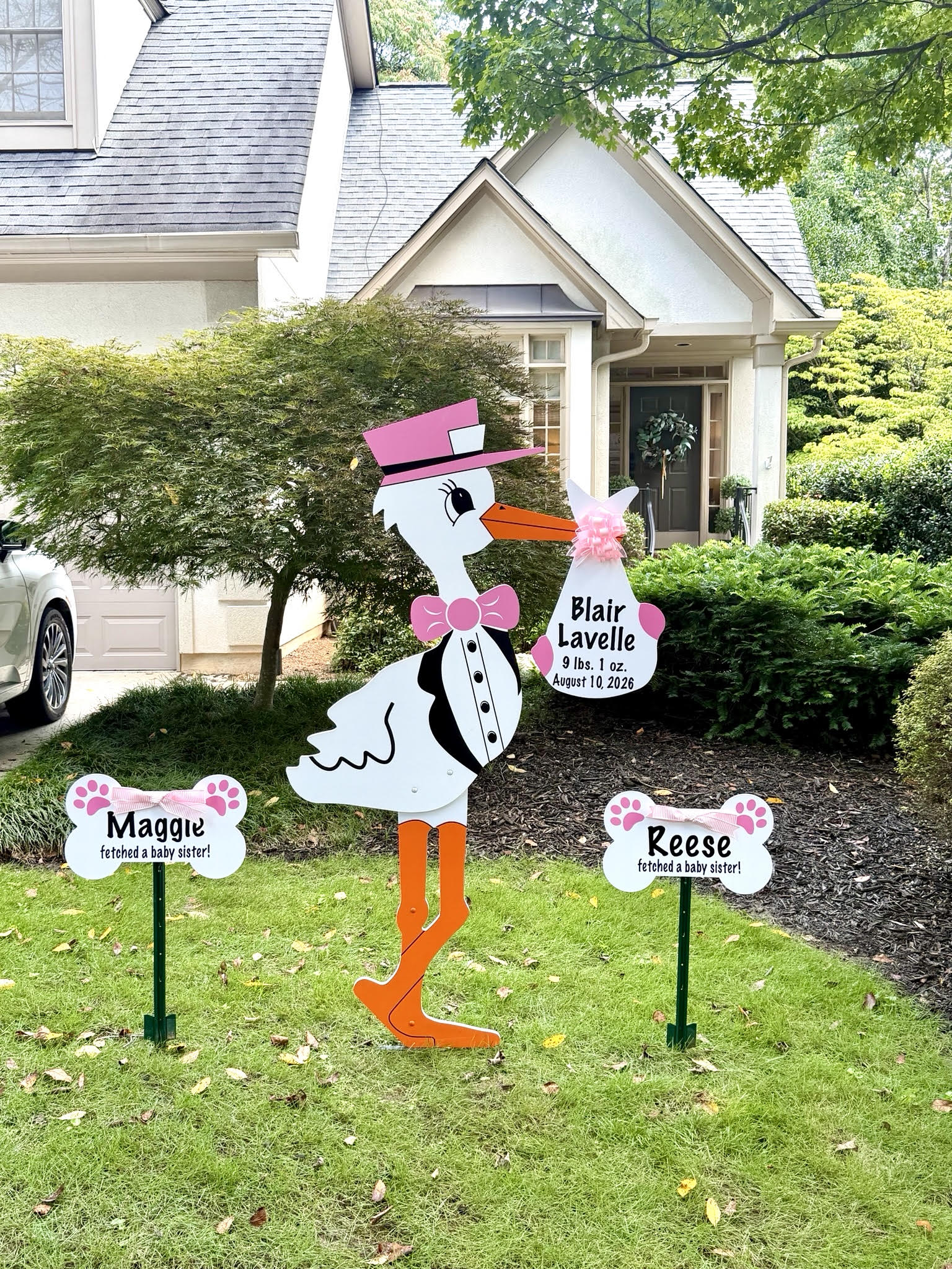 Birth Announcement Stork Sign in Brookhaven, GA