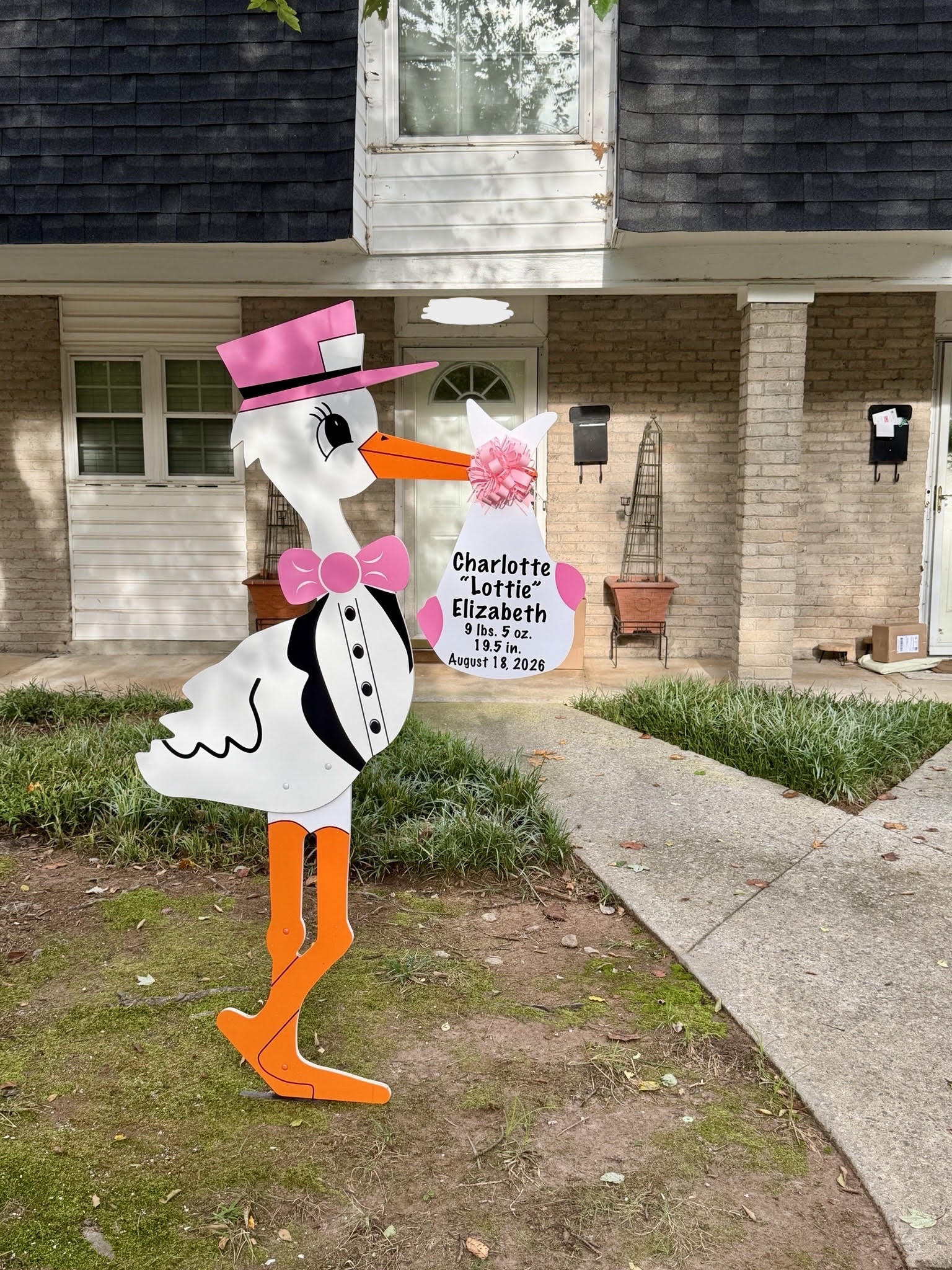 Birth Announcement Stork Sign in Sandy Springs, GA