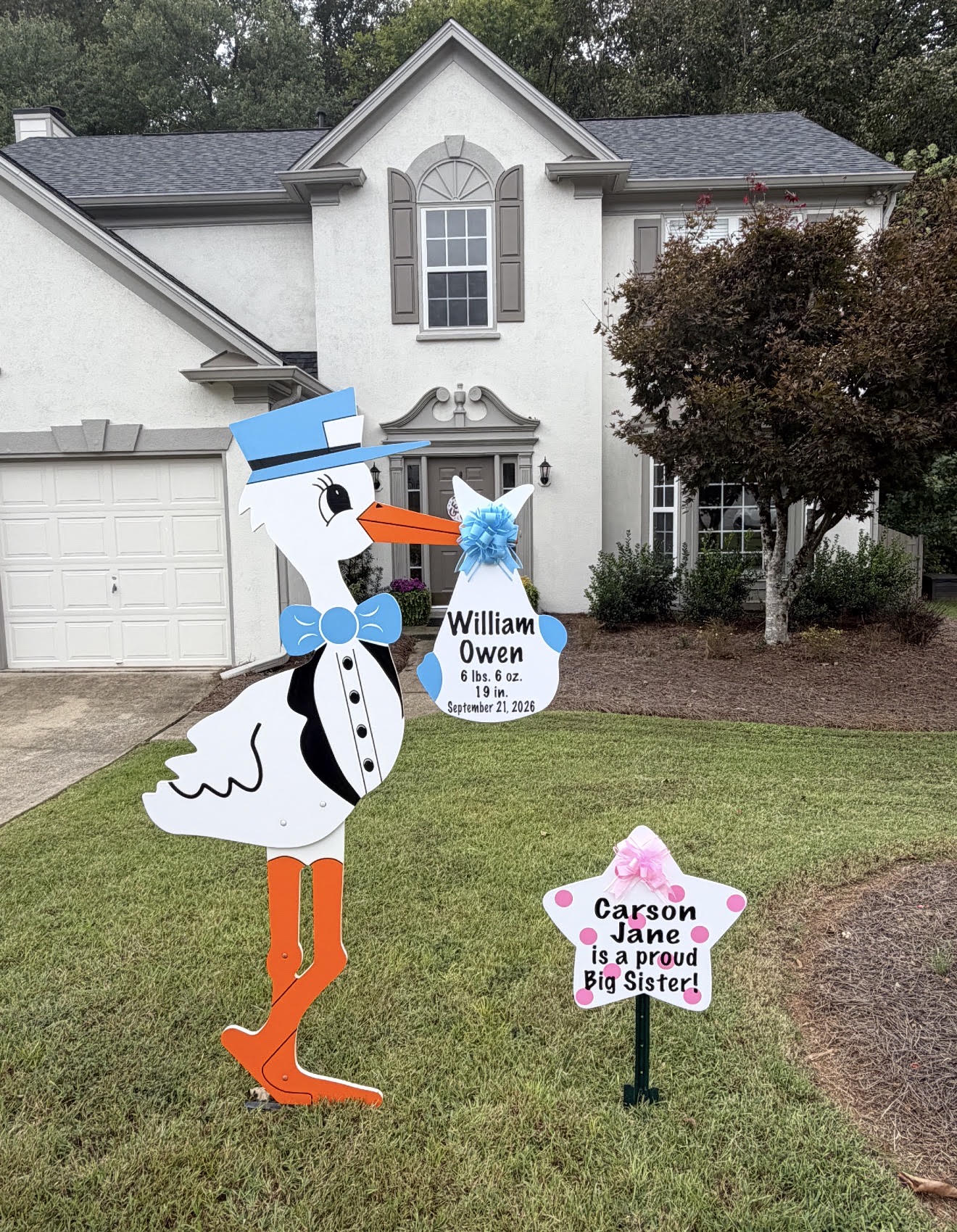 Birth Announcement Stork Sign in Woodstock, GA