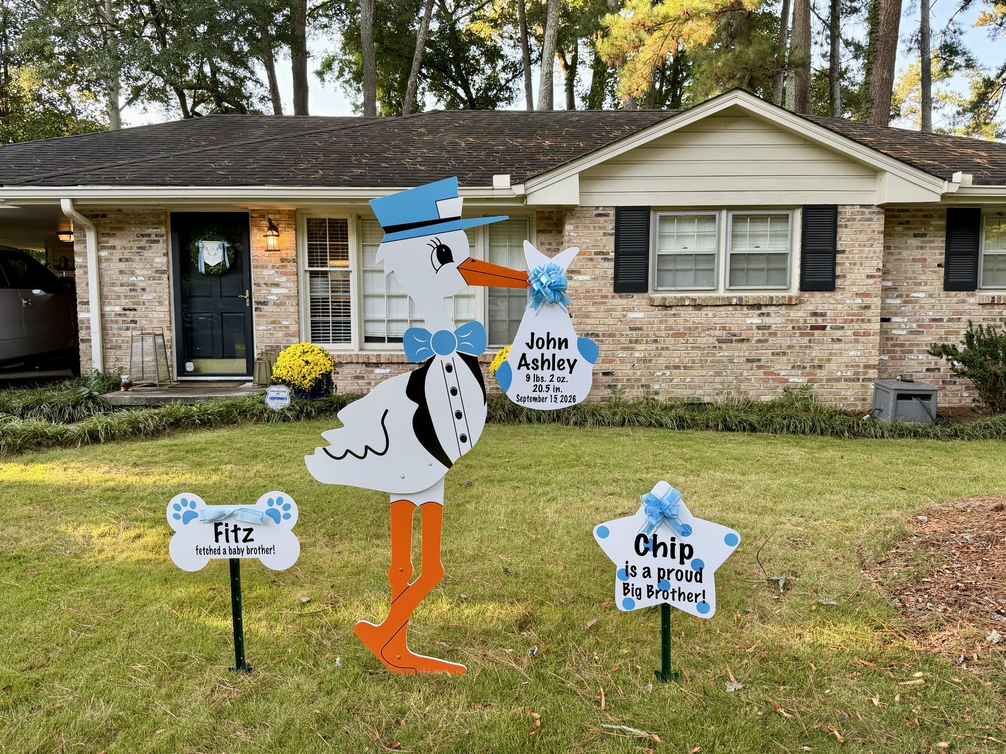 Birth Announcement Stork Sign in Sandy Springs, GA