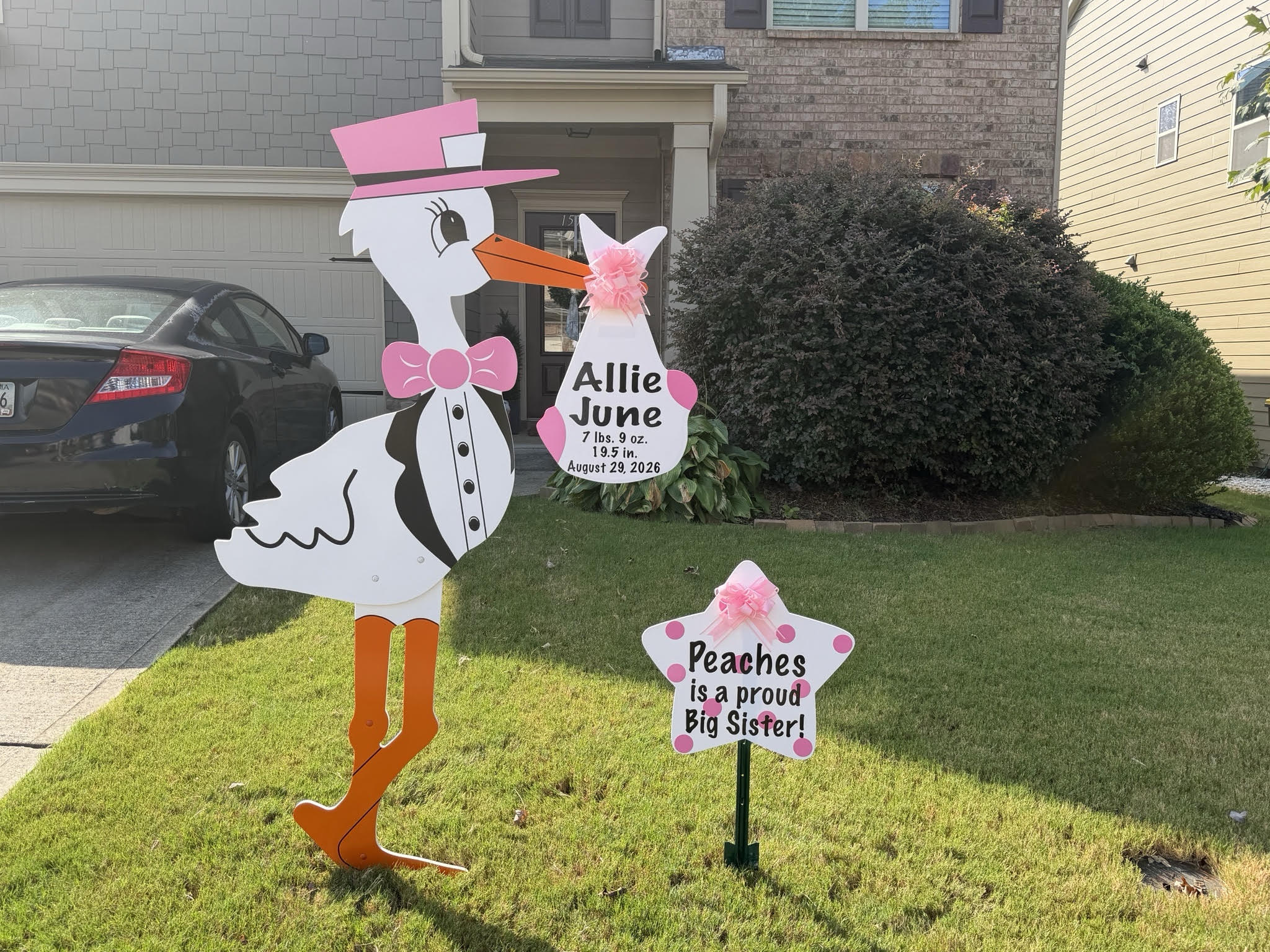 Birth Announcement Stork Sign in Canton, GA
