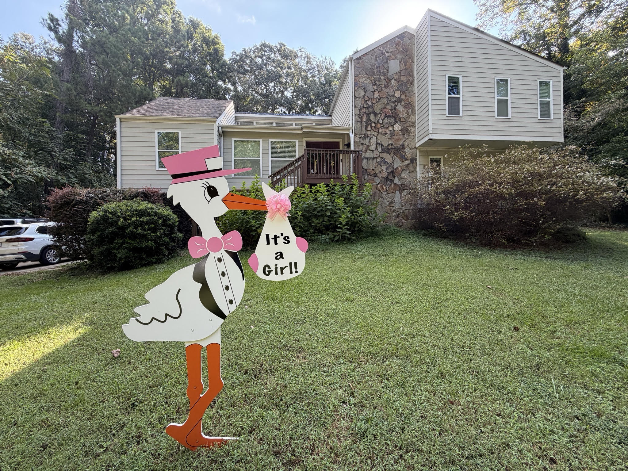 Birth Announcement Stork Sign in Kennesaw, GA