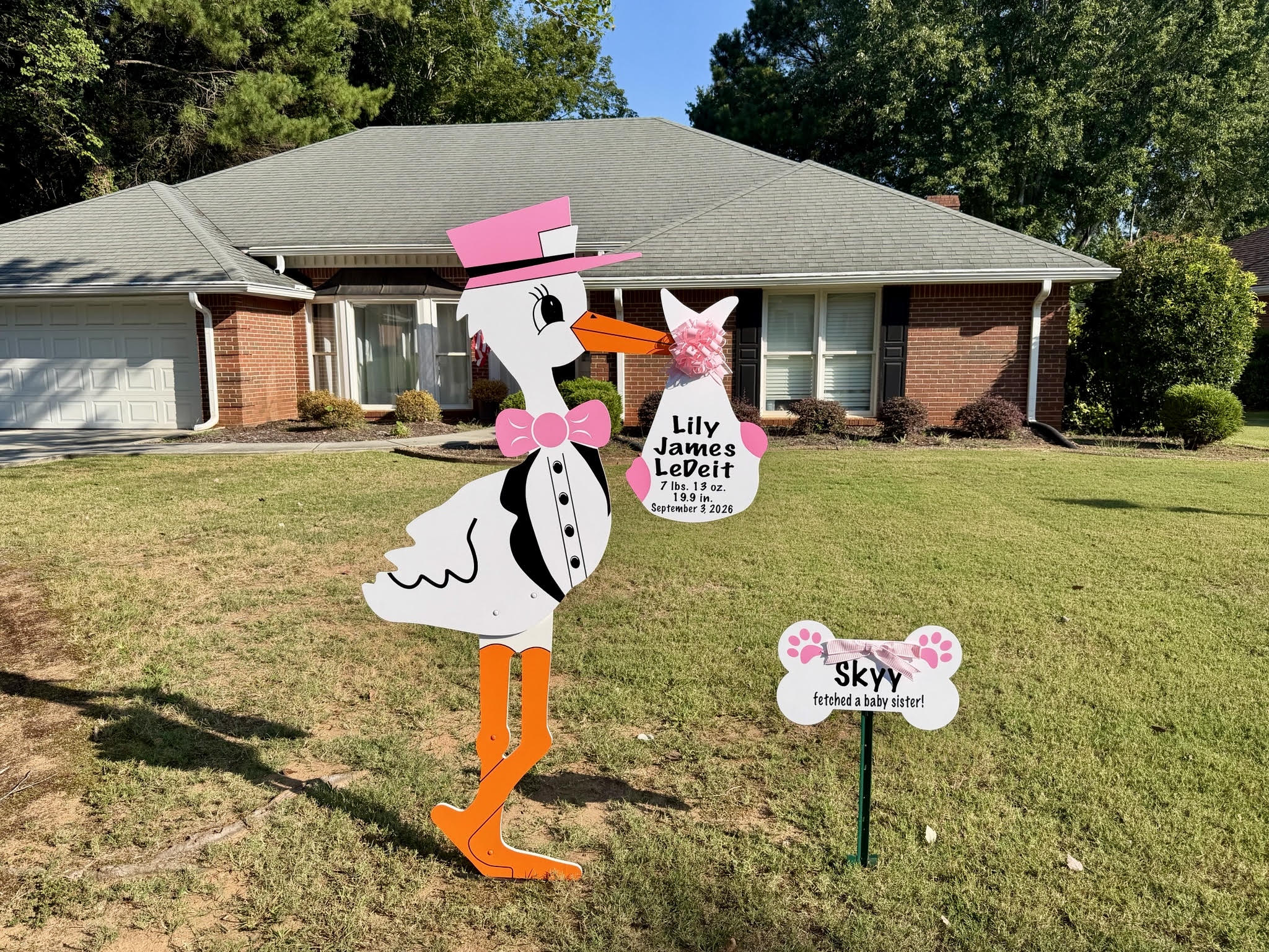 Birth Announcement Stork Sign in Alpharetta, GA