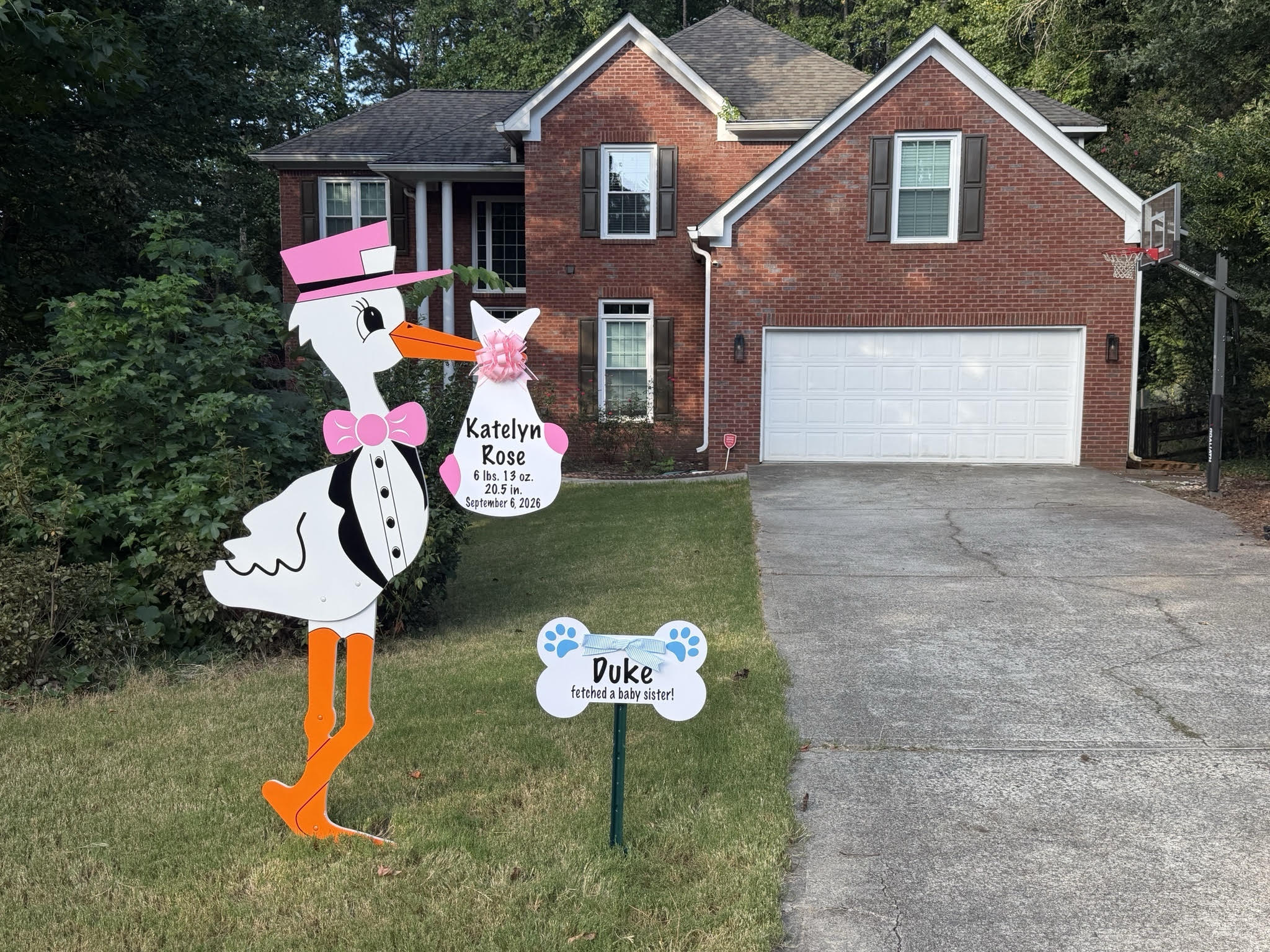 Birth Announcement Stork Sign in Cumming, GA