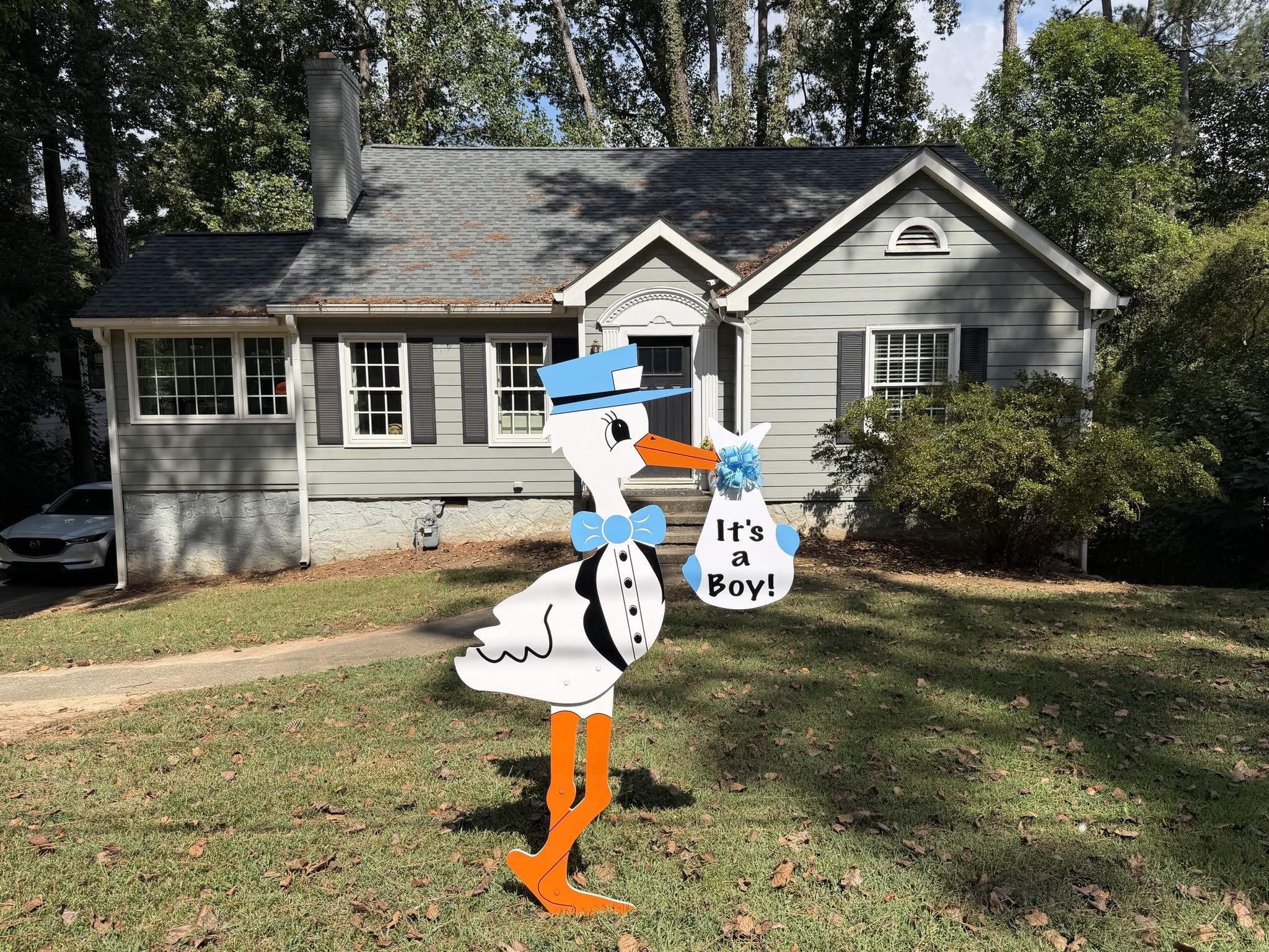 Birth Announcement Stork Sign in Buckhead, Atlanta